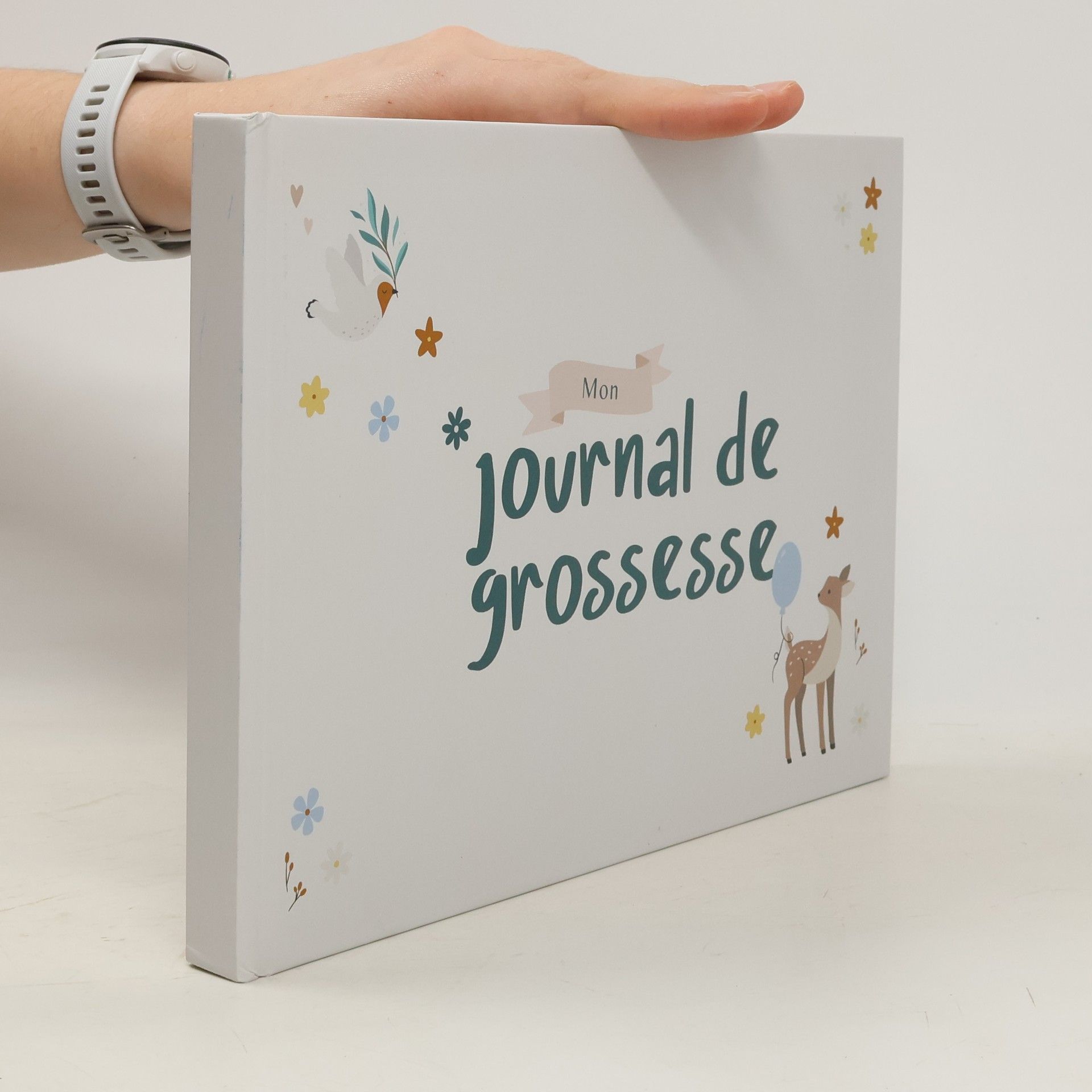 Various authors Mon Journal de Grossesse