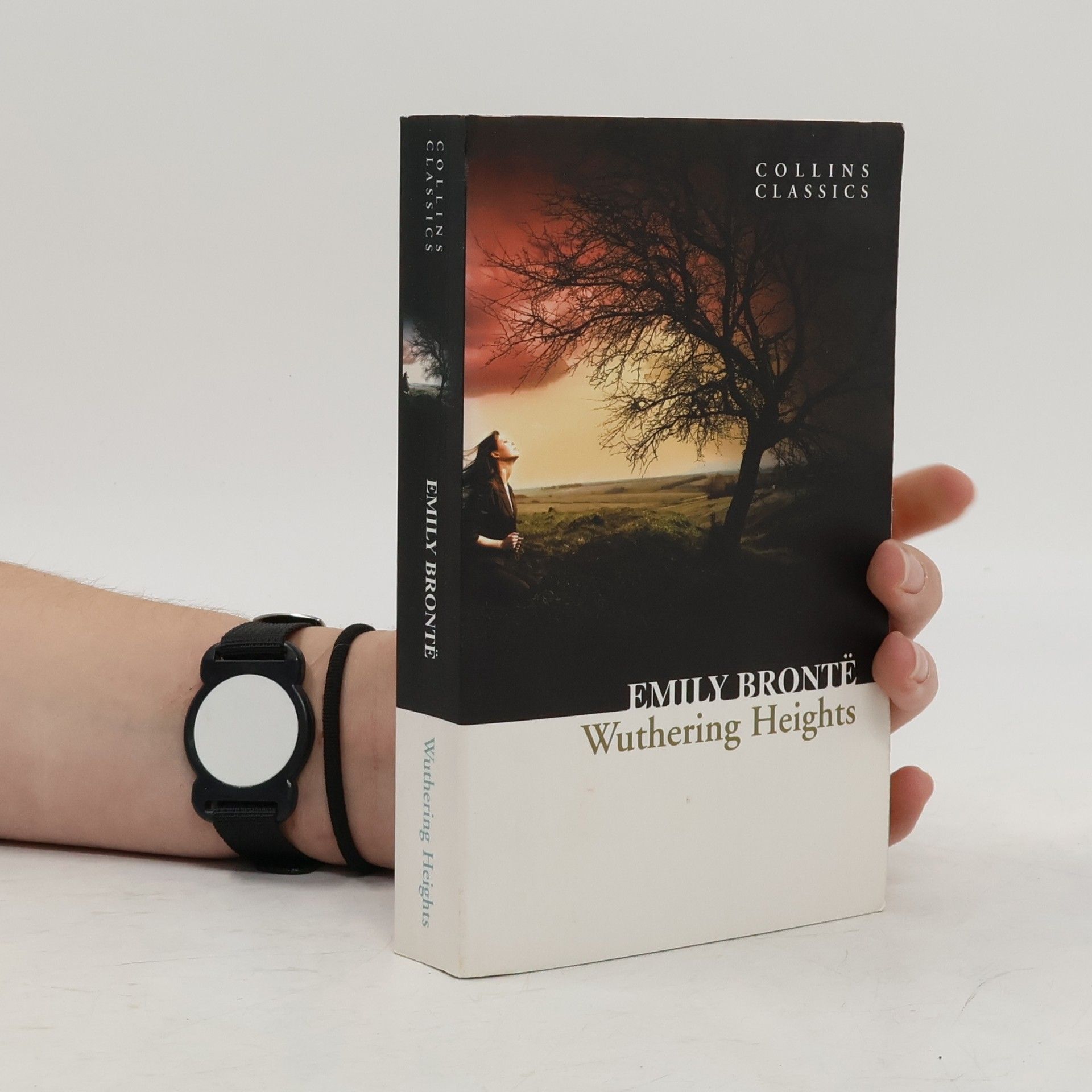 Emily Brontë Wuthering Heights