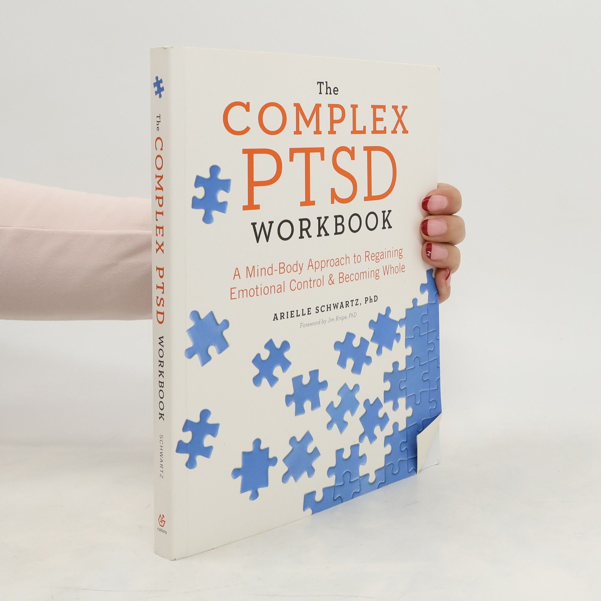 Arielle Schwartz The complex PTSD workbook