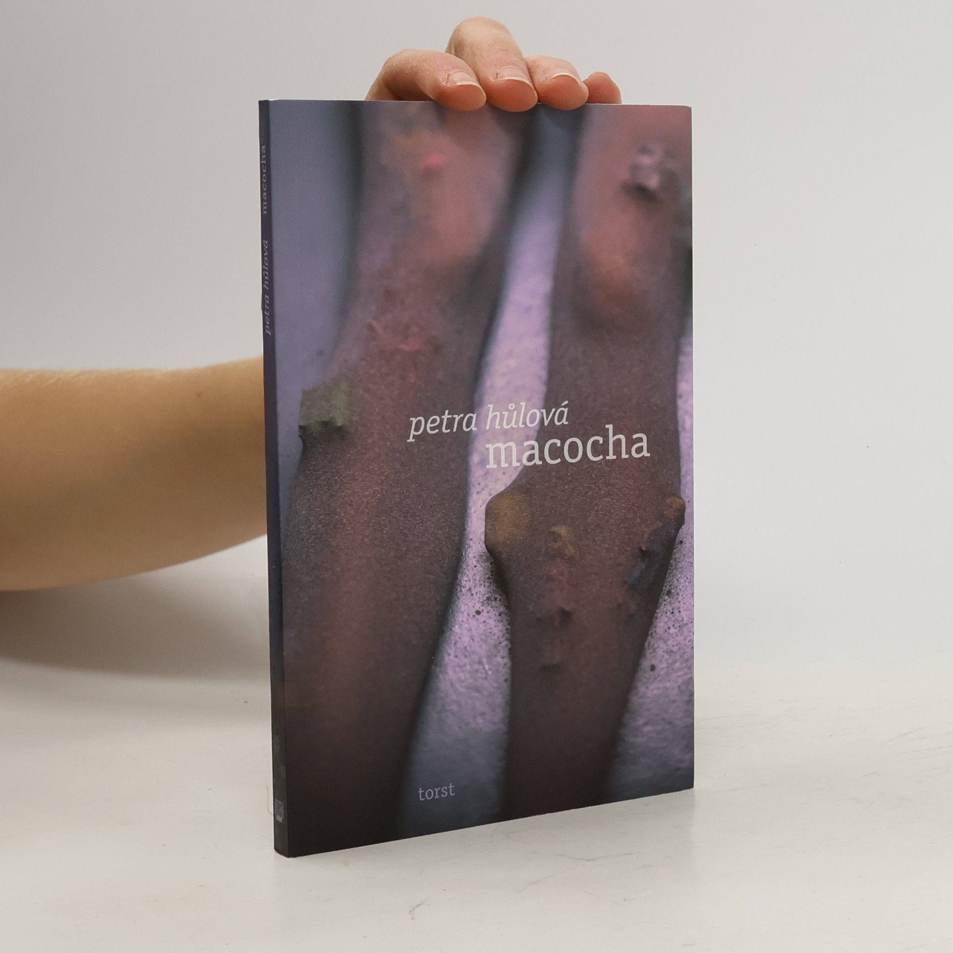 Petra Hůlová Macocha