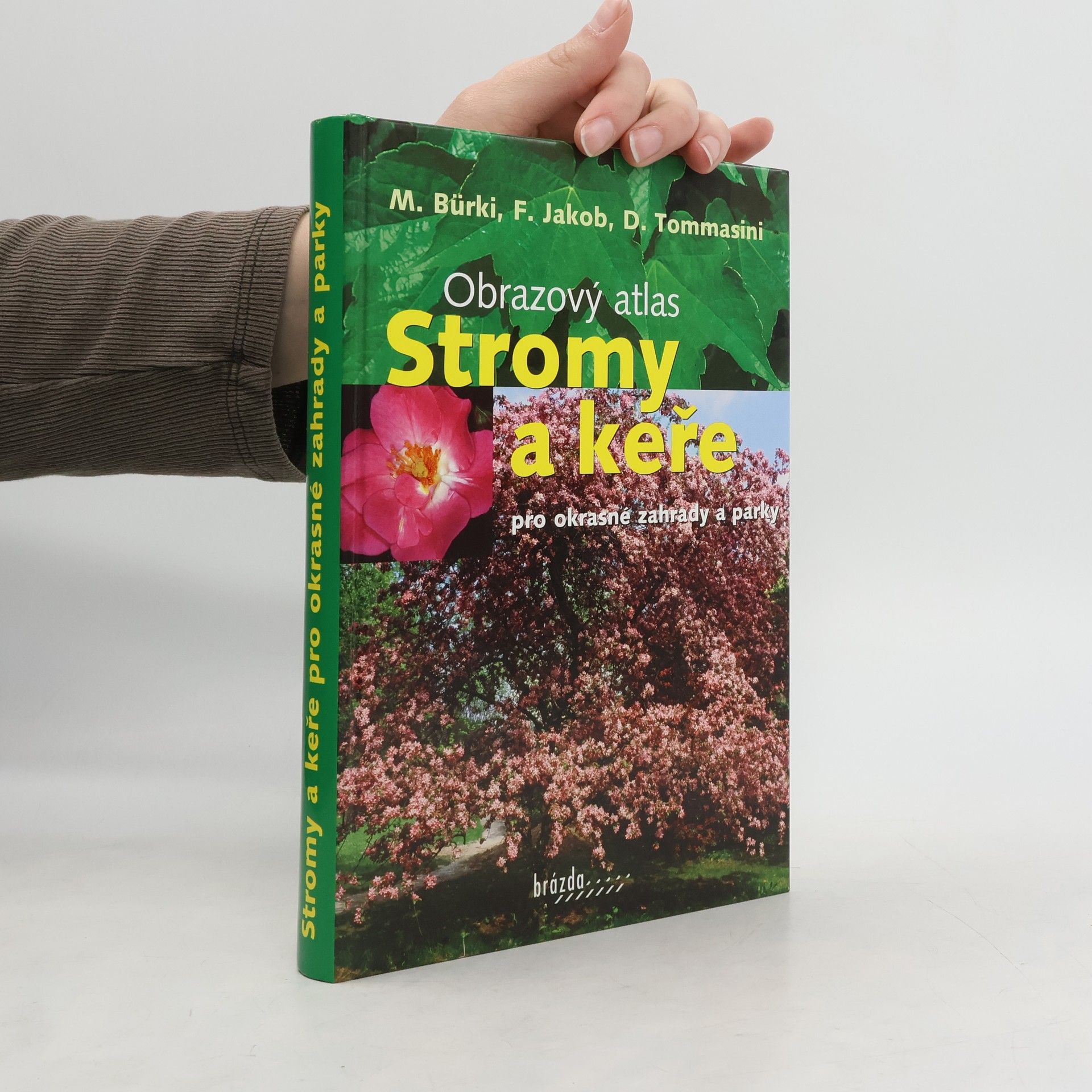 Stromy a keře pro okrasné zahrady a parky: Obrazový atlas