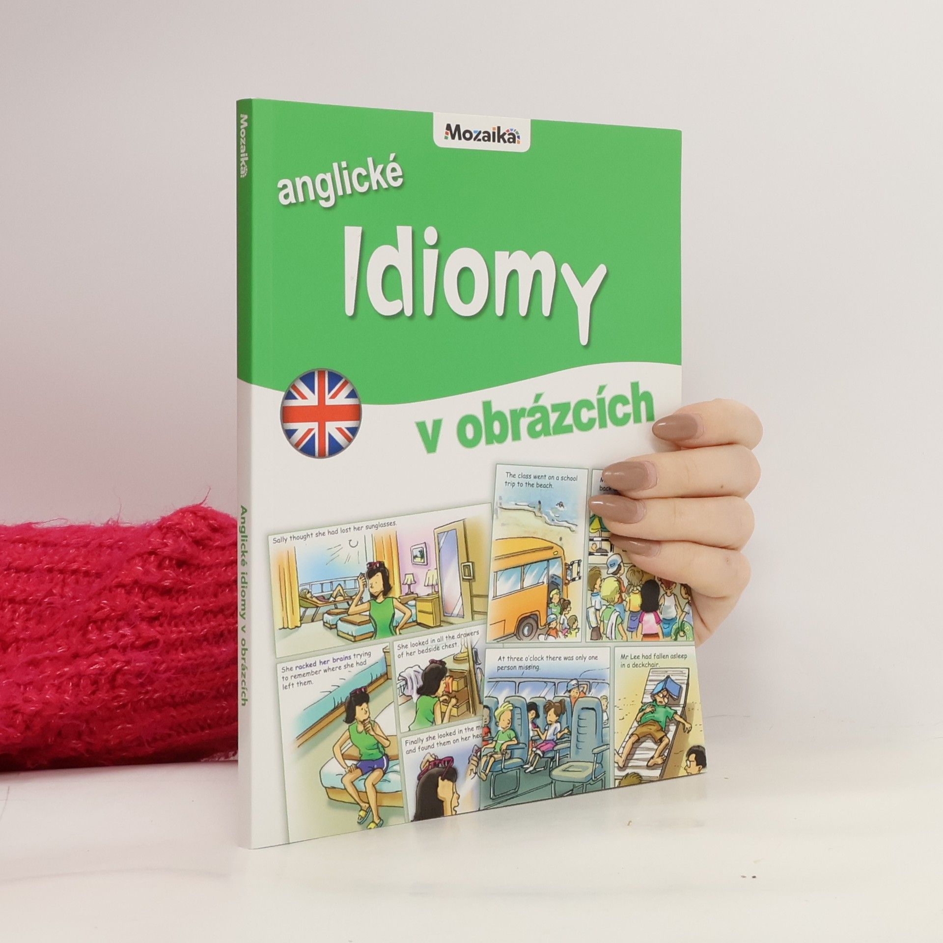 Rosalind Fergusson Anglické idiomy v obrázcích