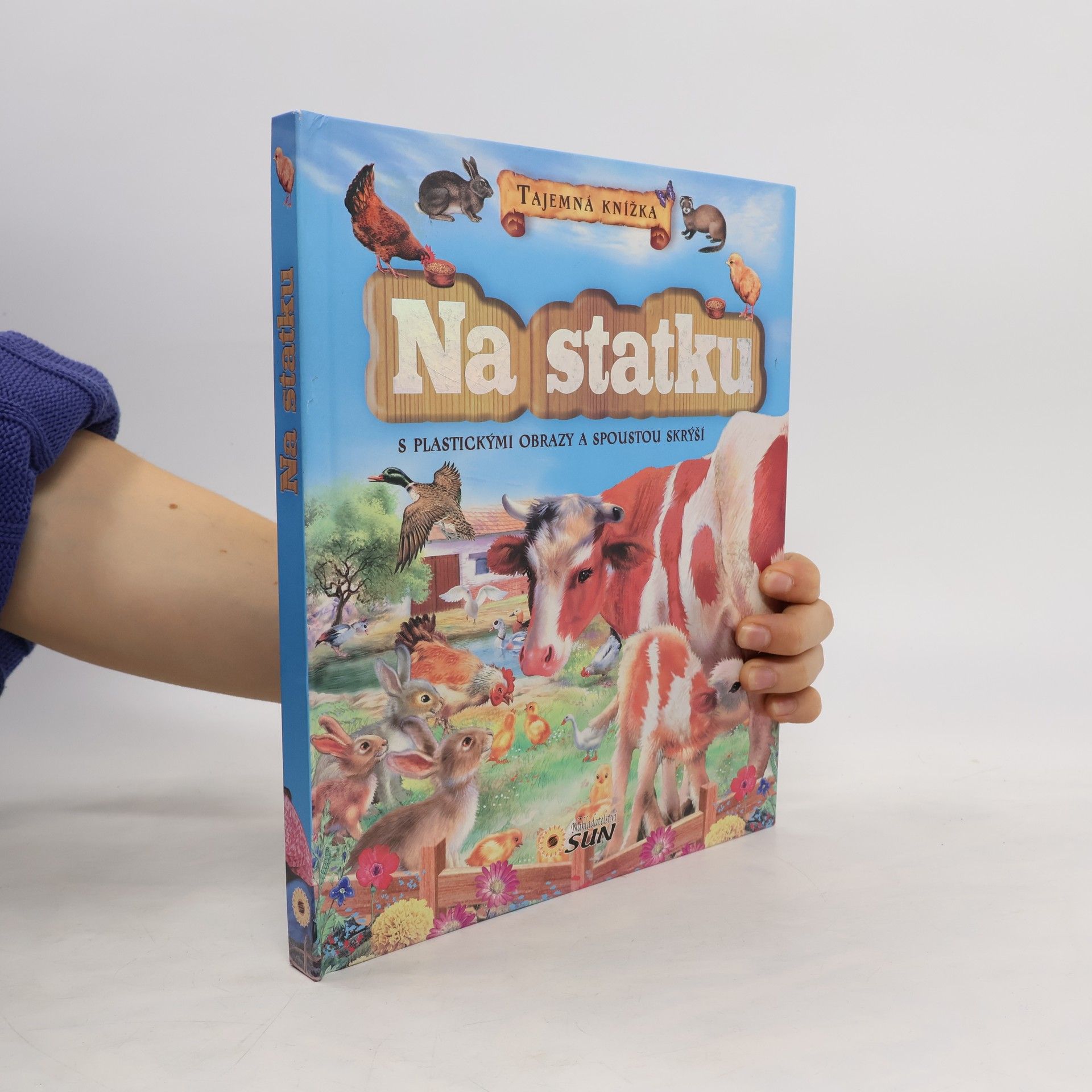 Francisca Valiente Na statku : tajemná knížka s plastickými obrazy a spoustou skrýší