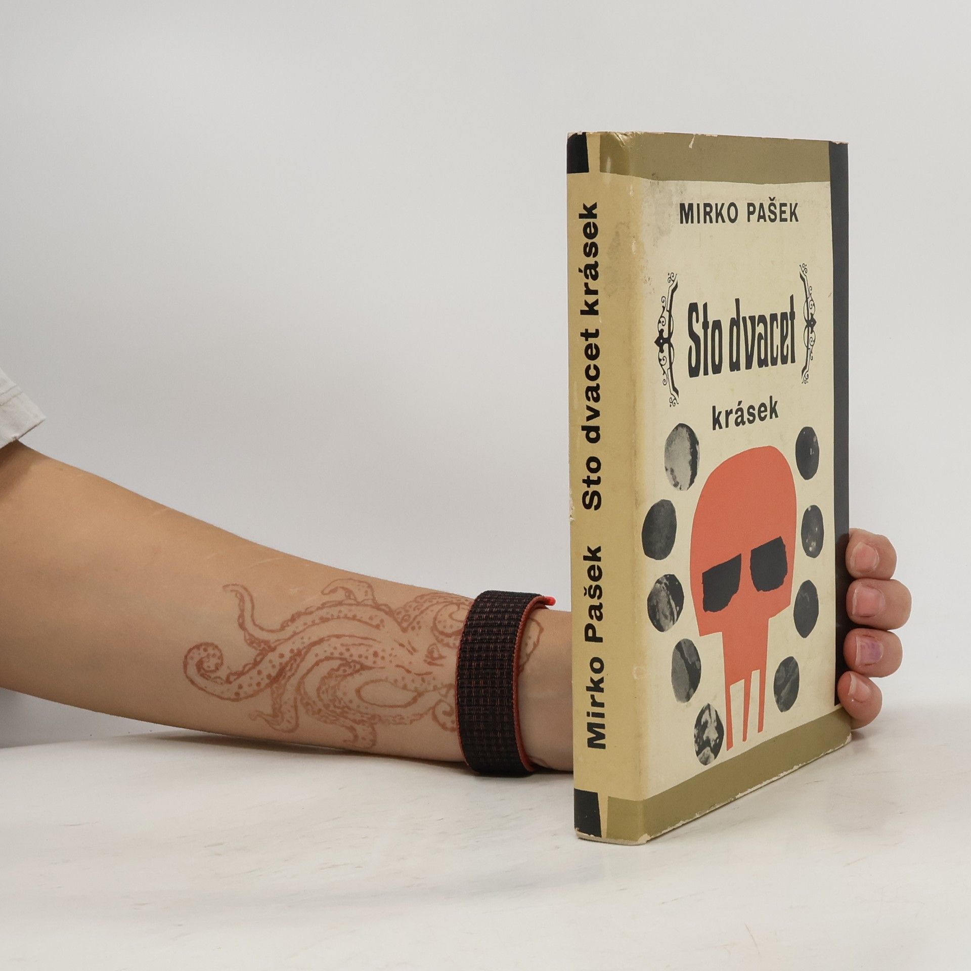 Mirko Pasek Sto dvacet krásek