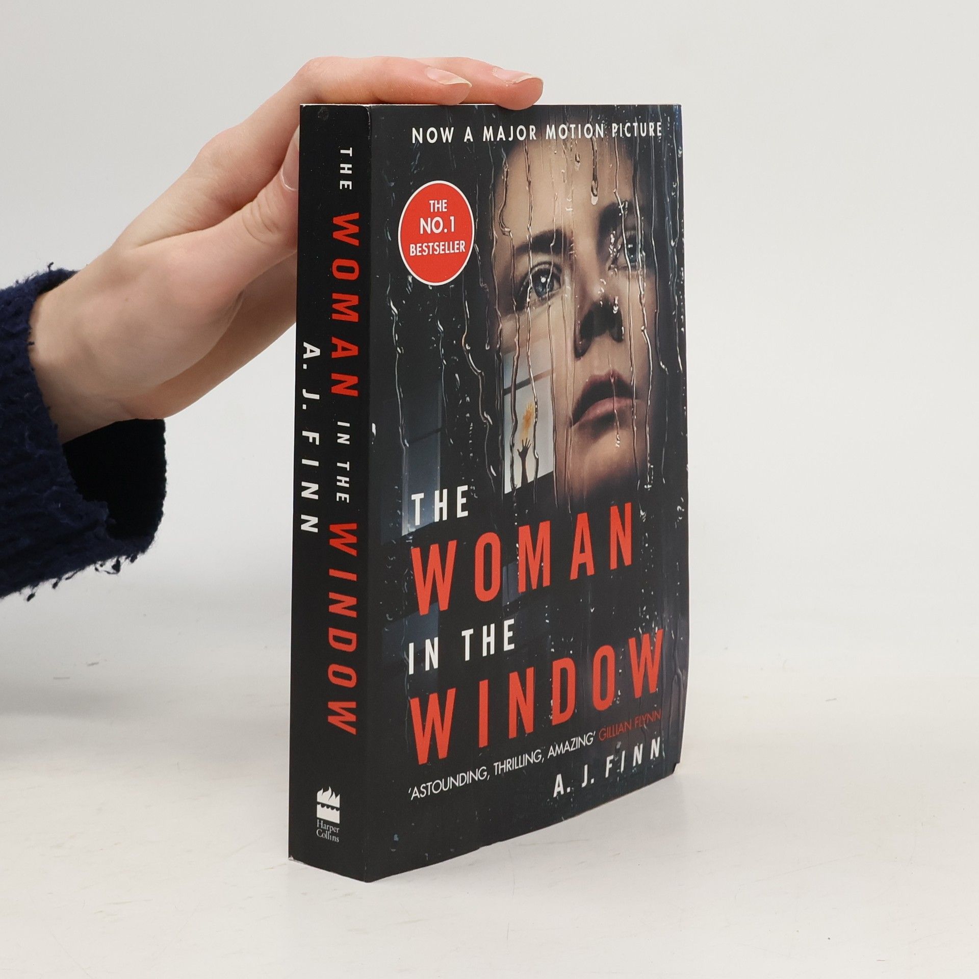 Daniel Mallory Woman in the window