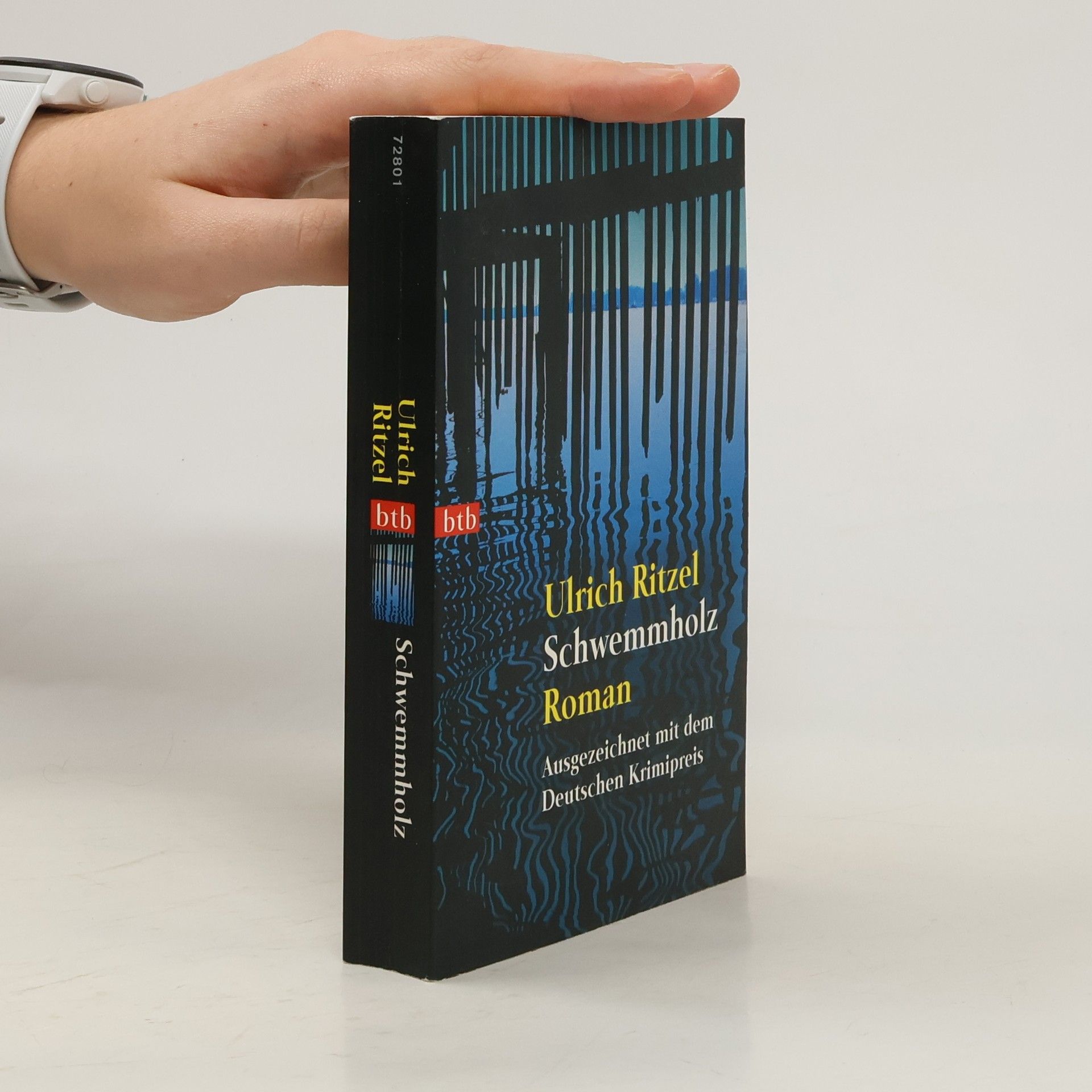 Ulrich Ritzel Schwemmholz