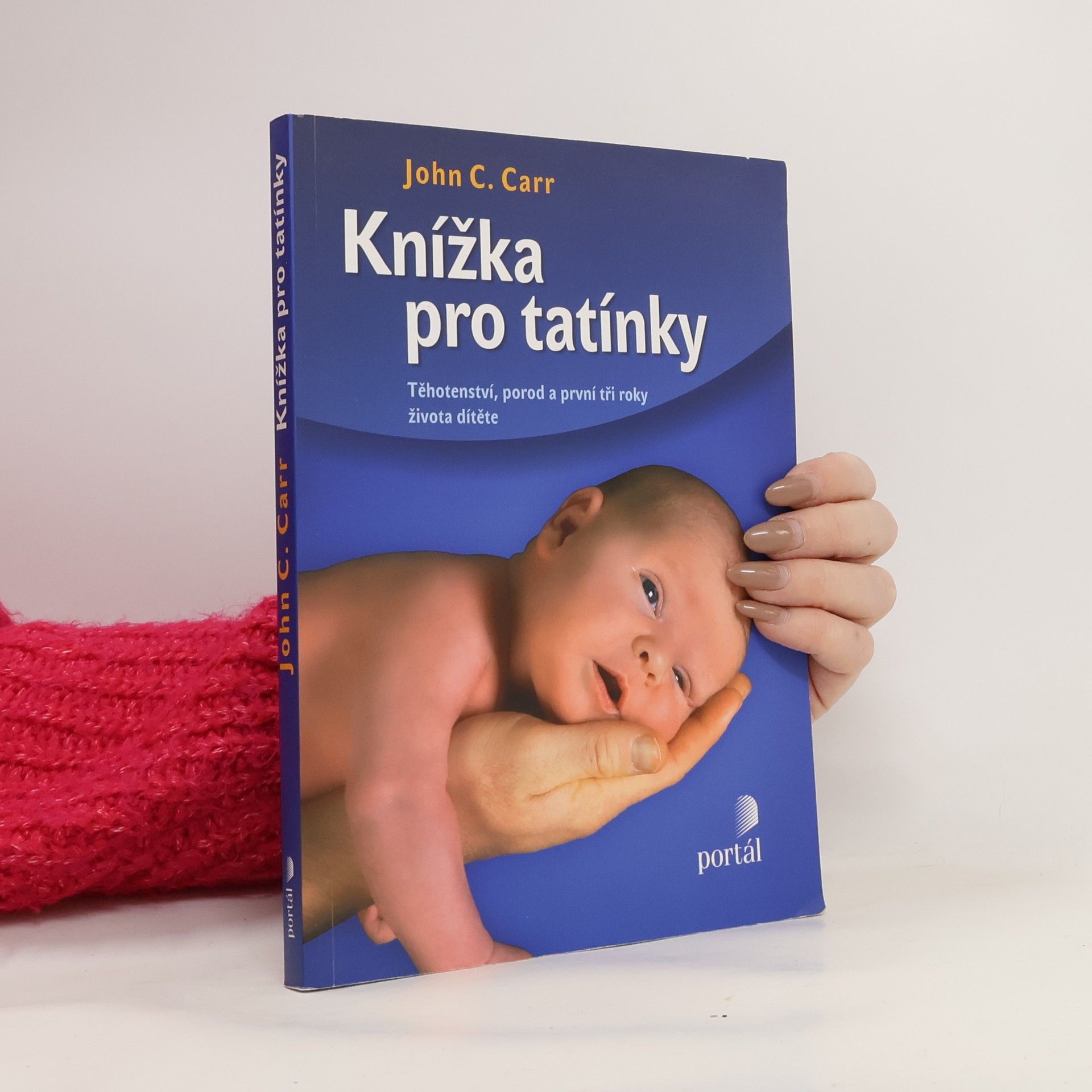 Knížka pro tatínky. Těhotenství, porod a první tři roky života dítěte