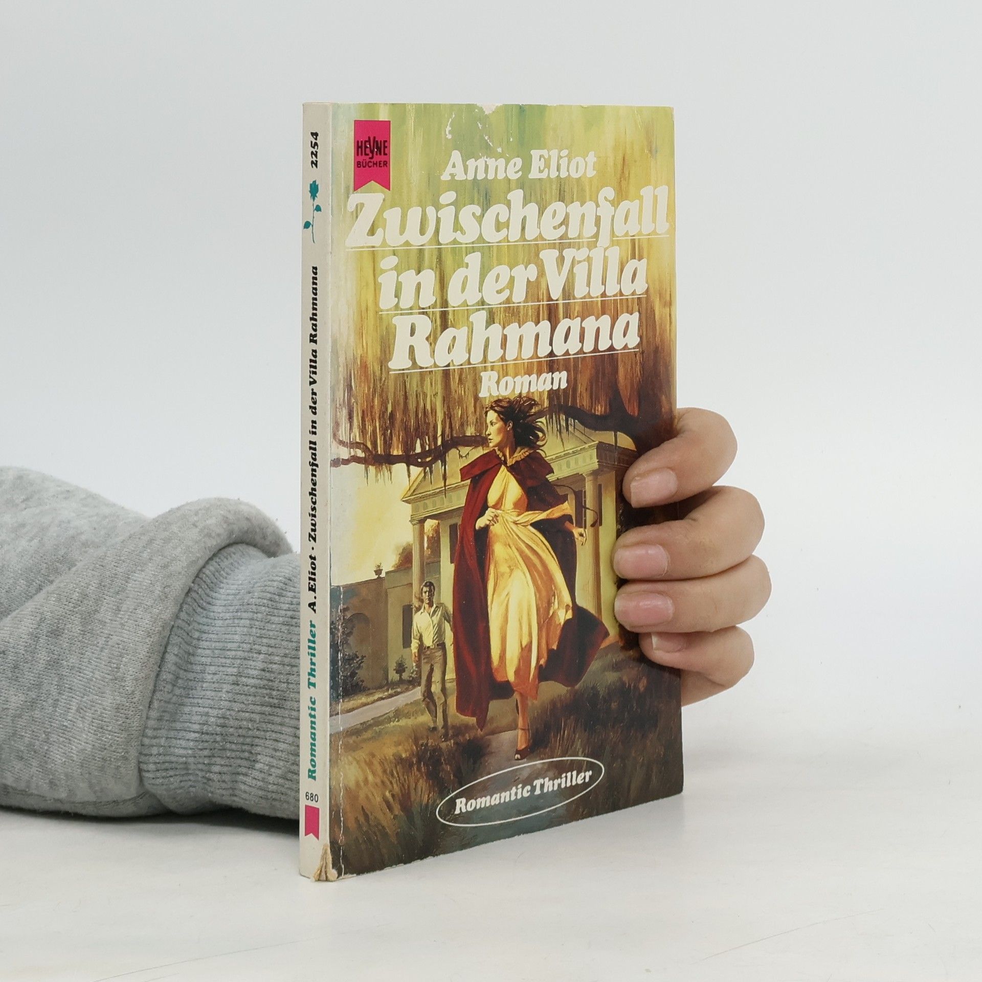 Romantic Thriller: Zwischenfall in der Villa Rahmana