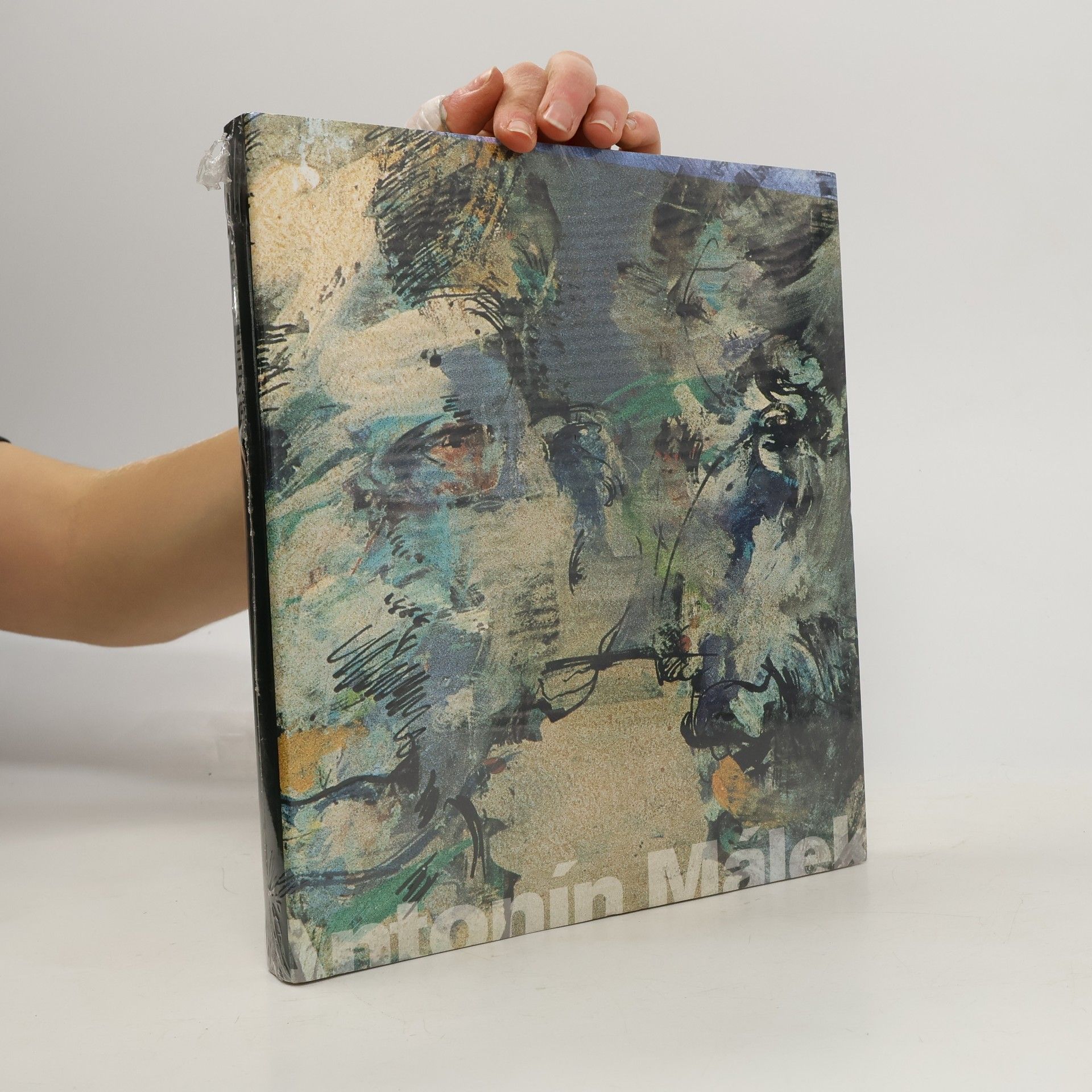 Kolektiv autorů Antonín Málek