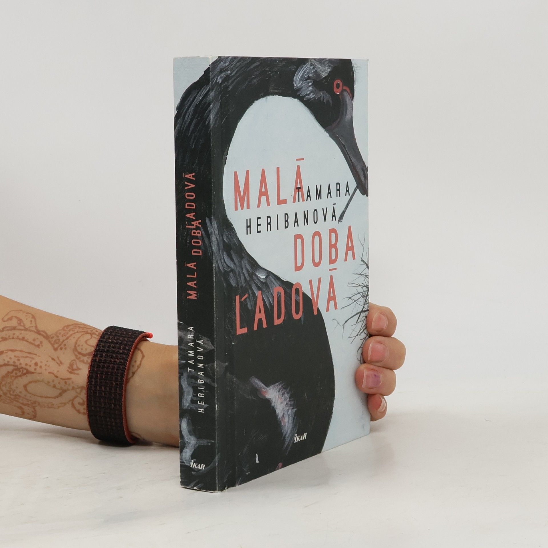 Tamara Heribanová Malá doba ľadová