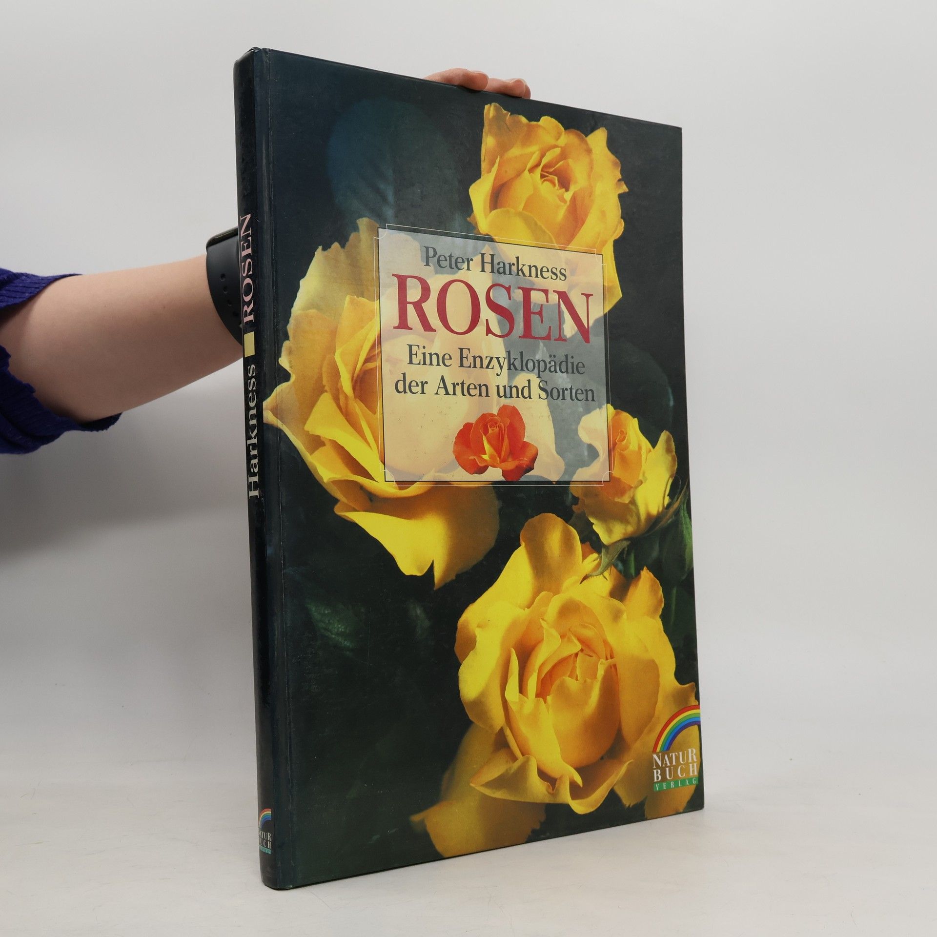 Peter Harkness Rosen