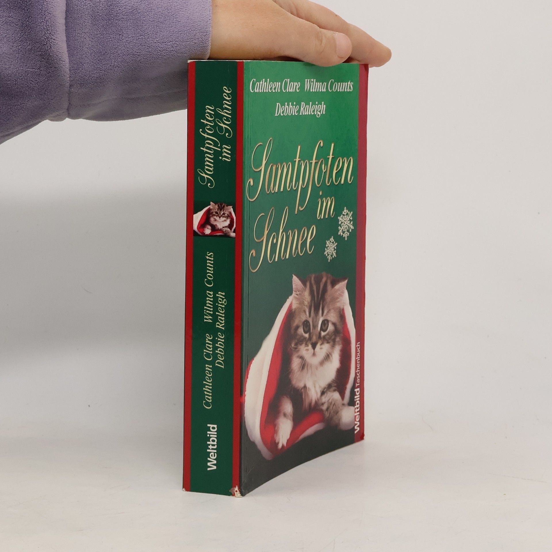 Cathleen Clare Samtpfoten im Schnee