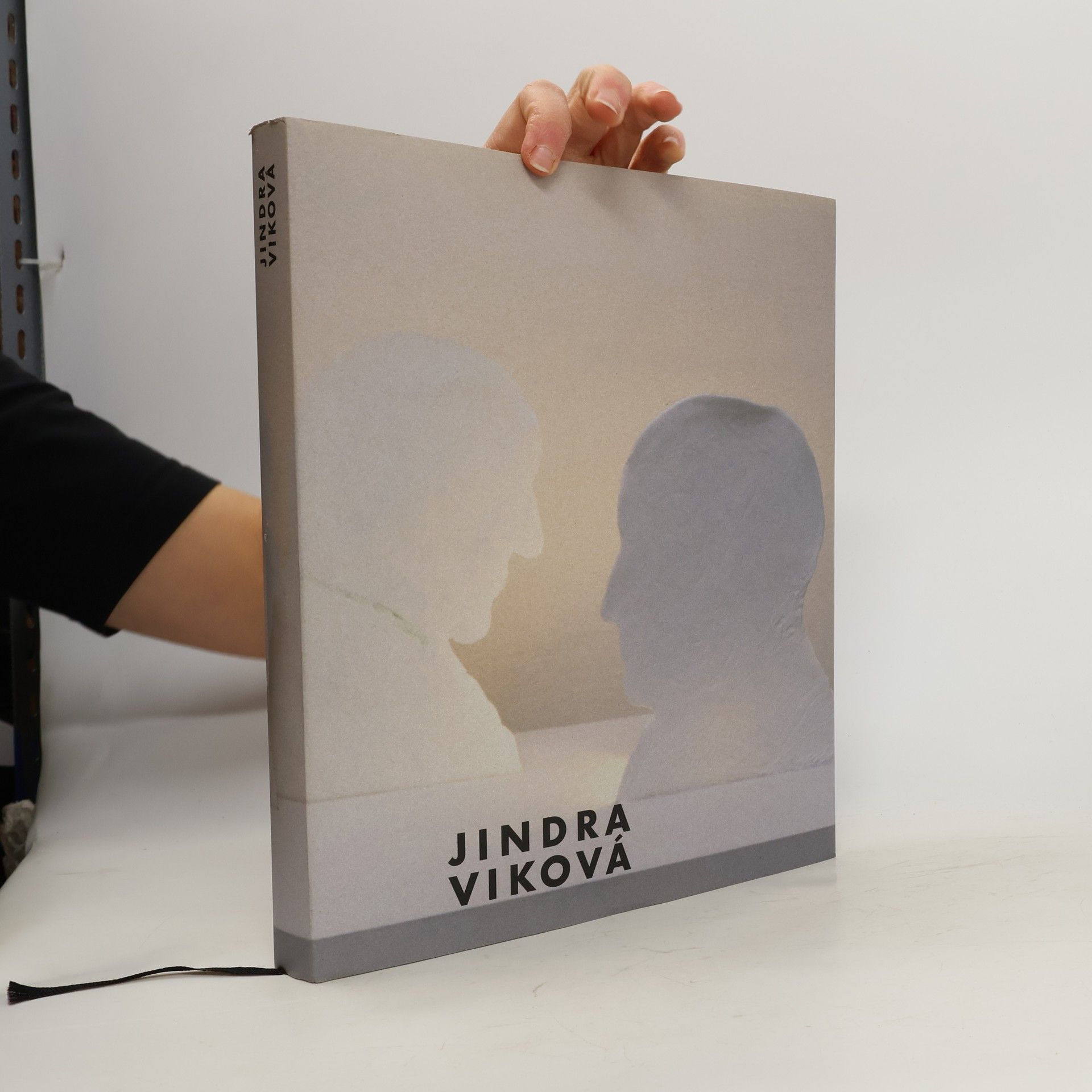 Kolektiv autorů Jindra Viková