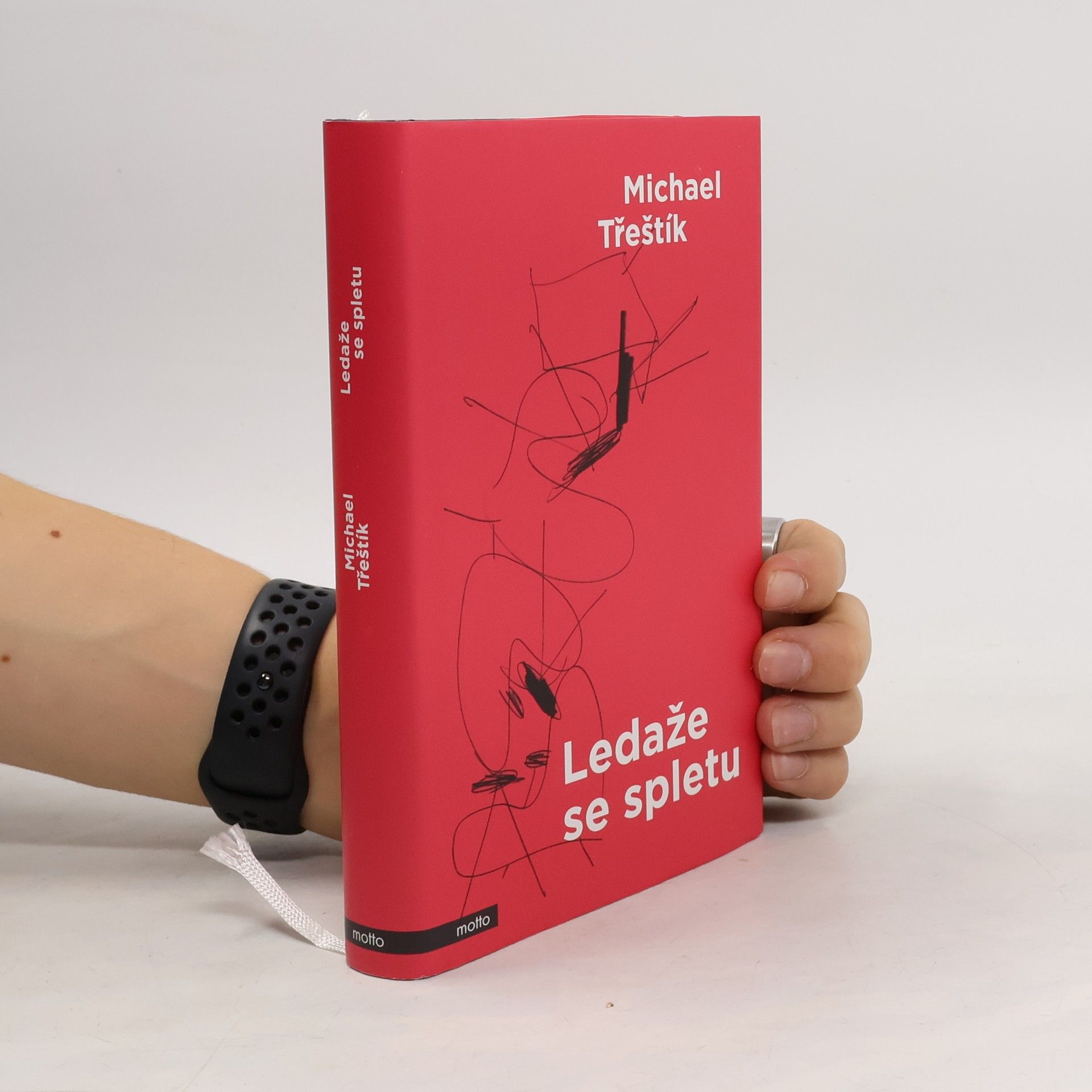 Michael Třeštík Ledaže se spletu