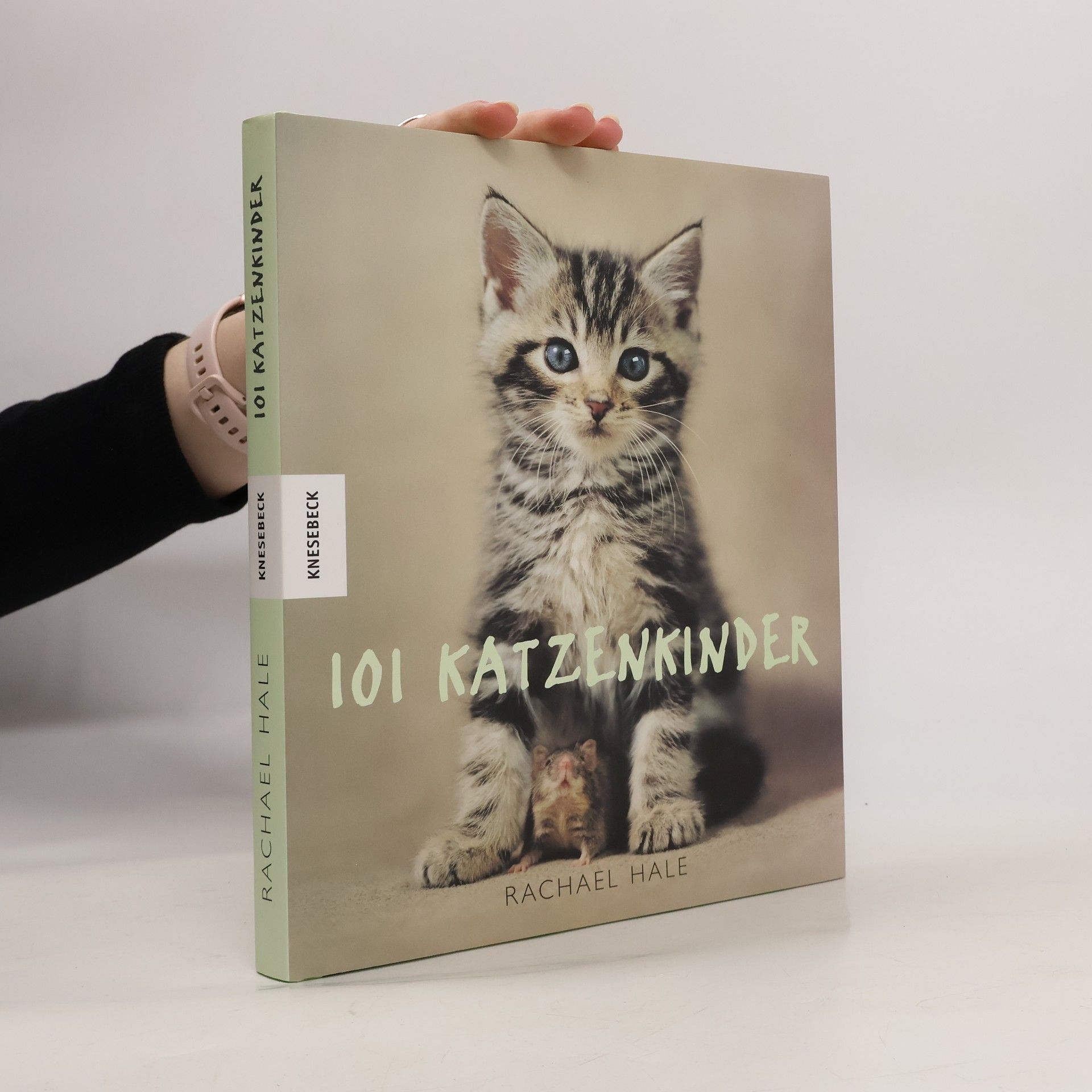 Rachael McKenna 101 Katzenkinder