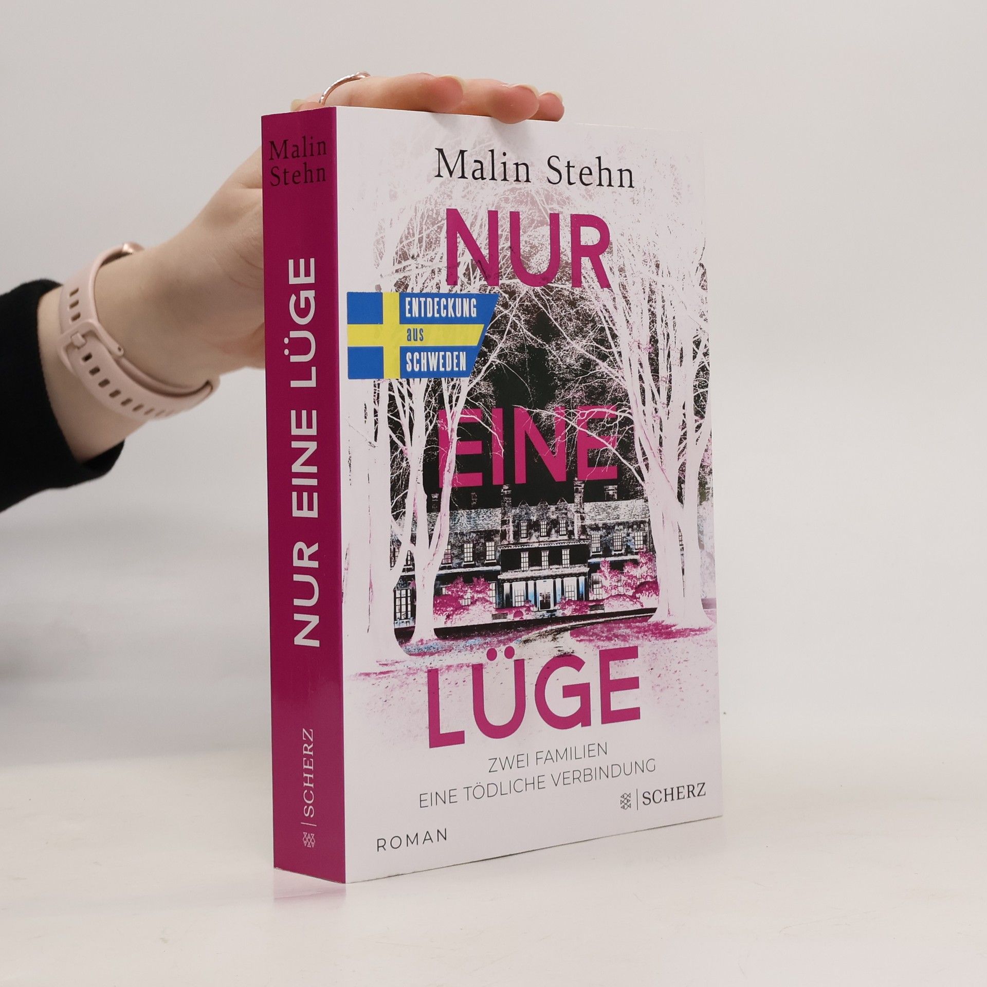 Nur eine Lüge – Zwei Familien, eine tödliche Verbindung