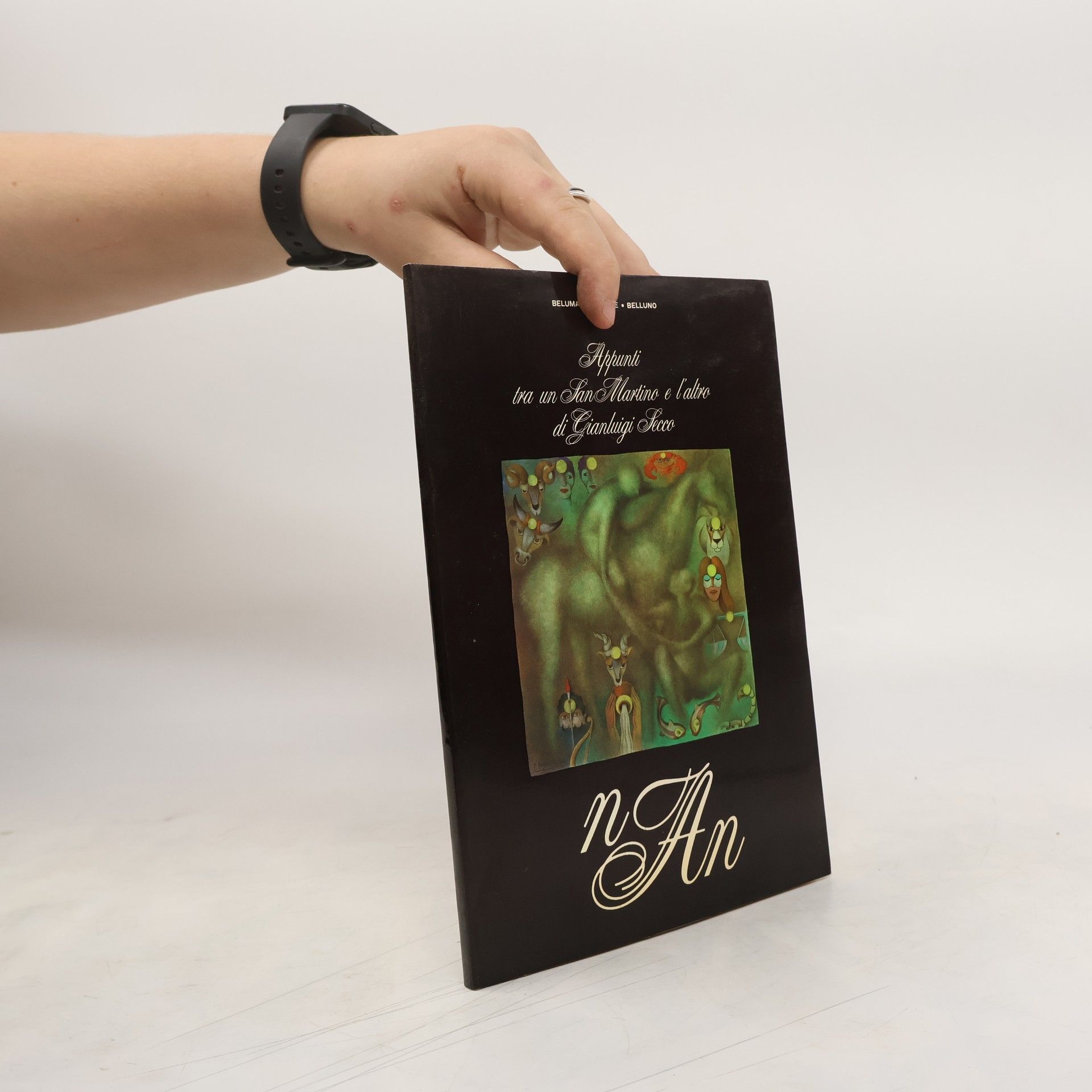 Gianluigi Secco Appunti tra un San Martino e l'altro di Gianluigi Fecco