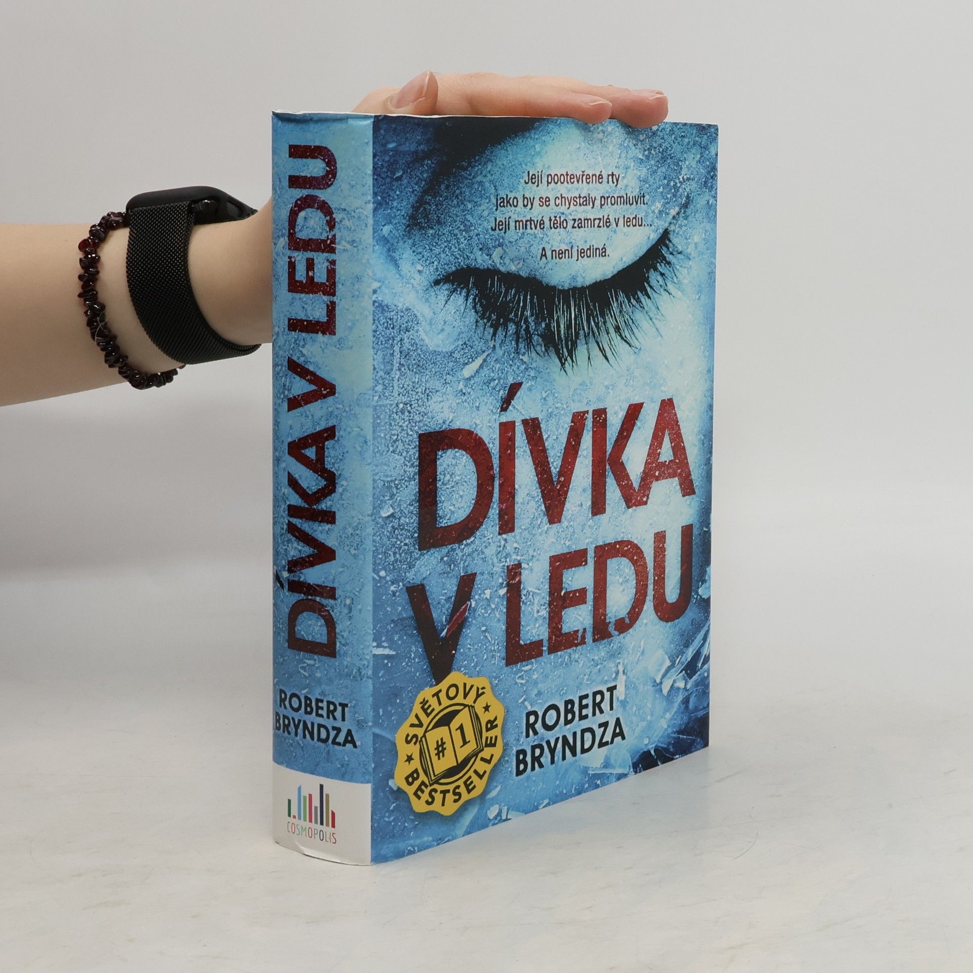 Robert Bryndza Dívka v ledu