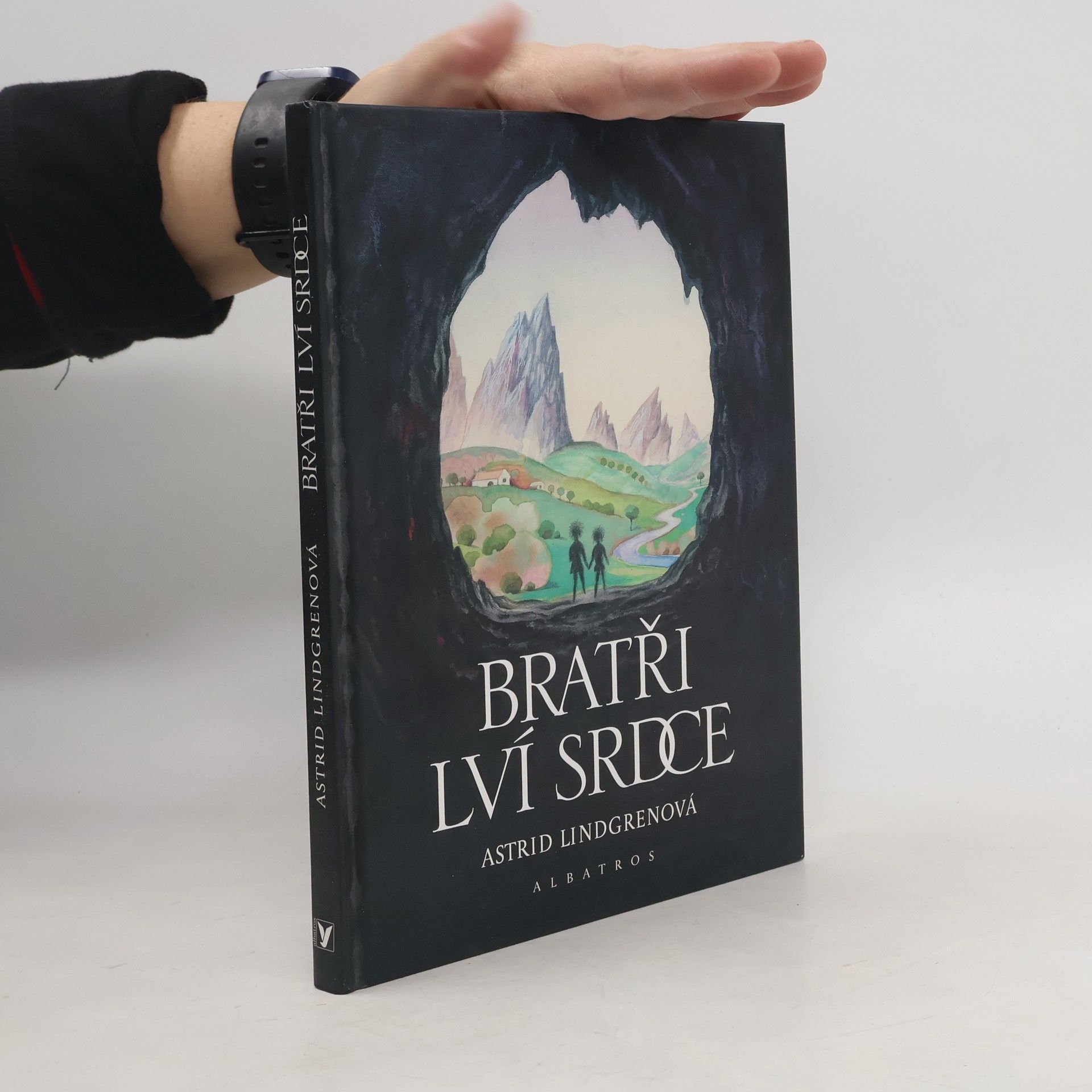 Astrid Lindgren Bratři Lví srdce