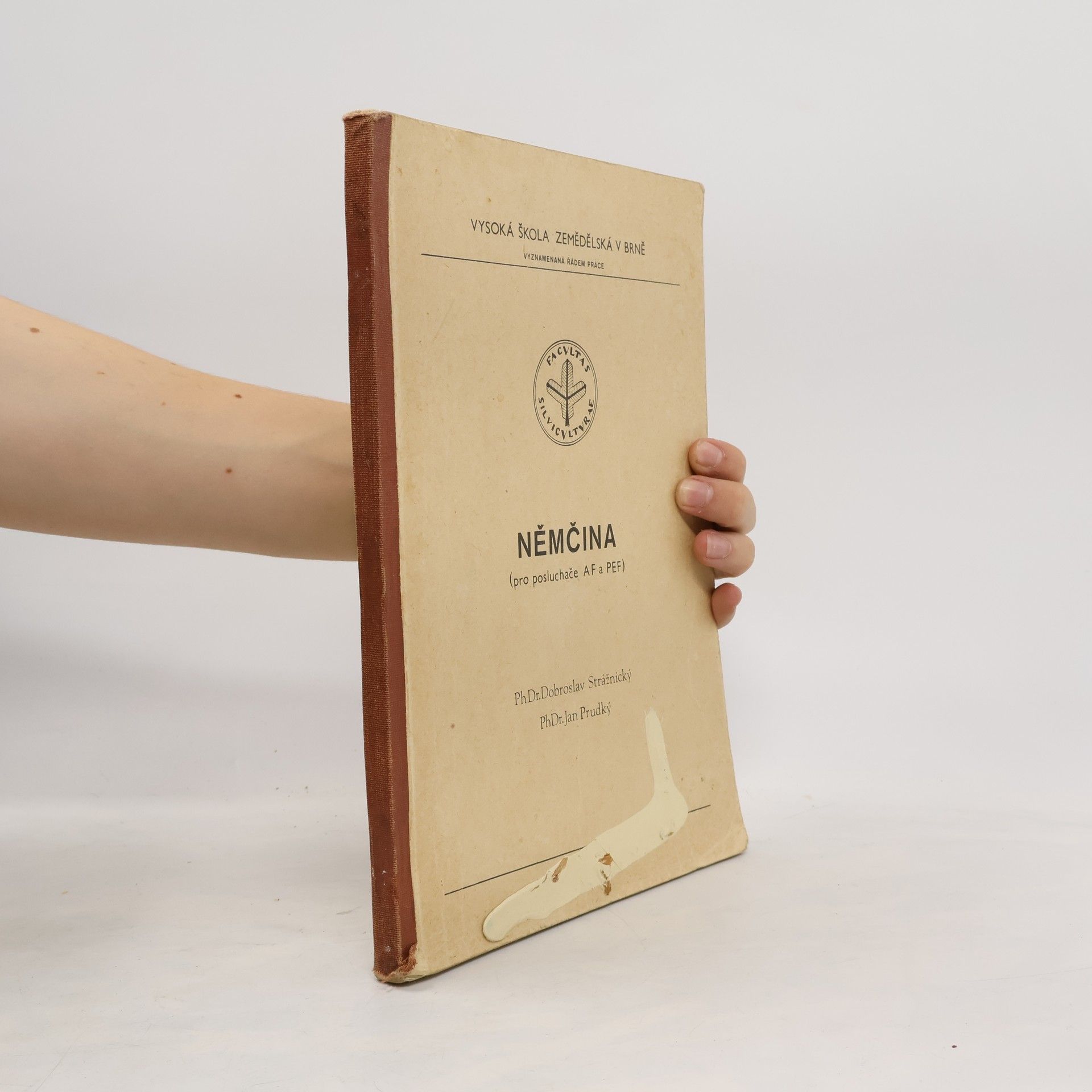 Němčina pro posluchače AF a PEF