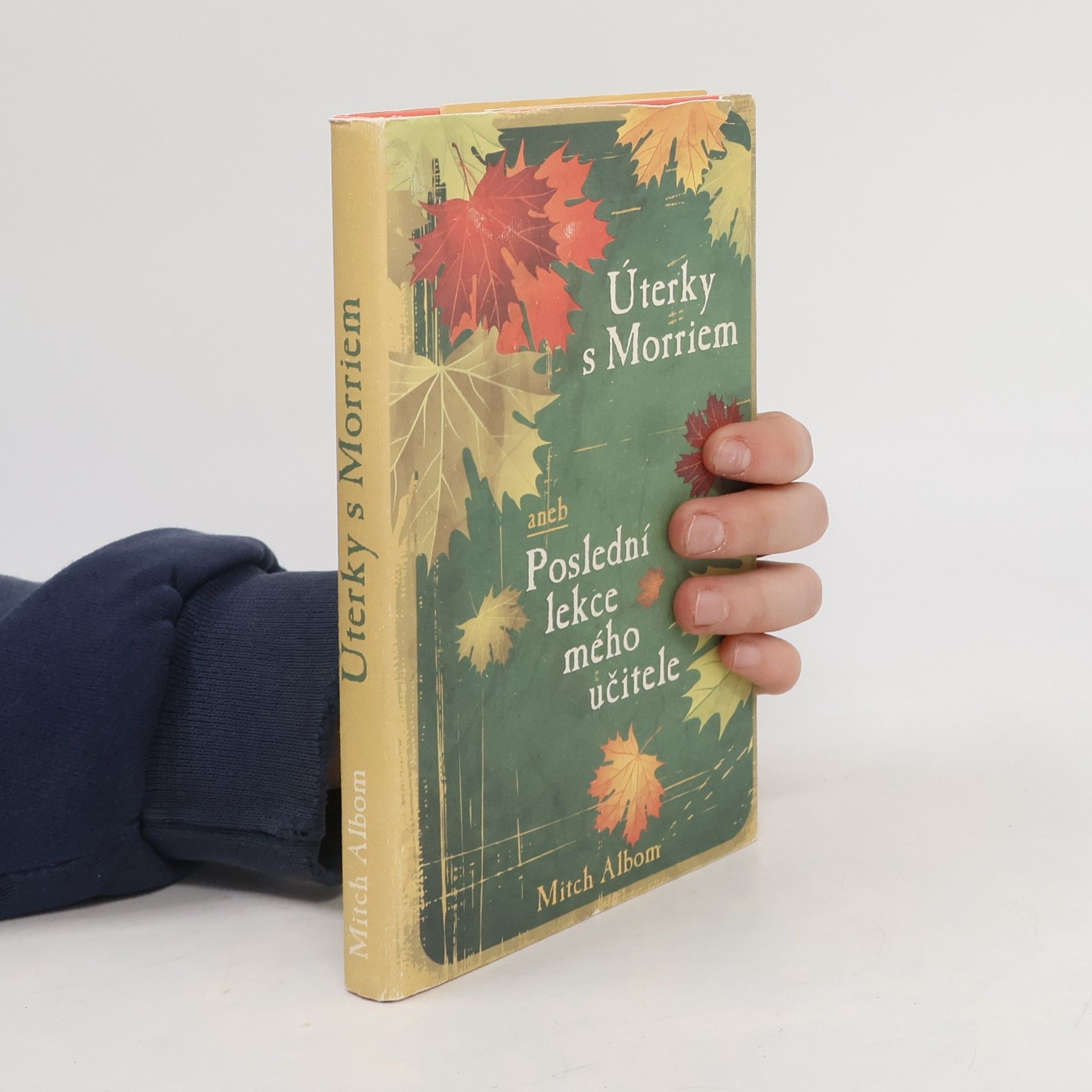 Mitch Albom Úterky s Morriem