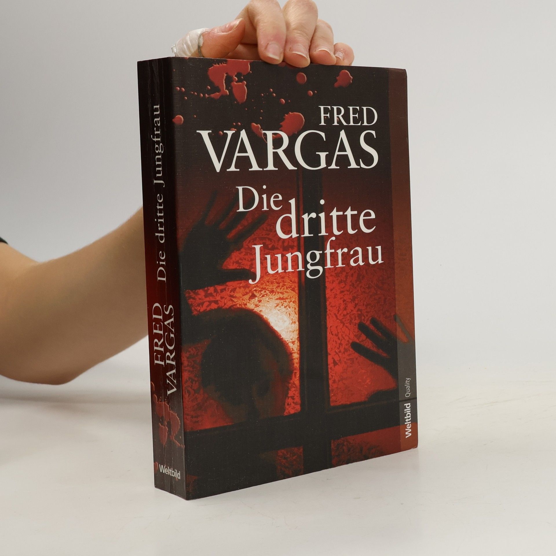 Fred Vargas Die dritte Jungfrau