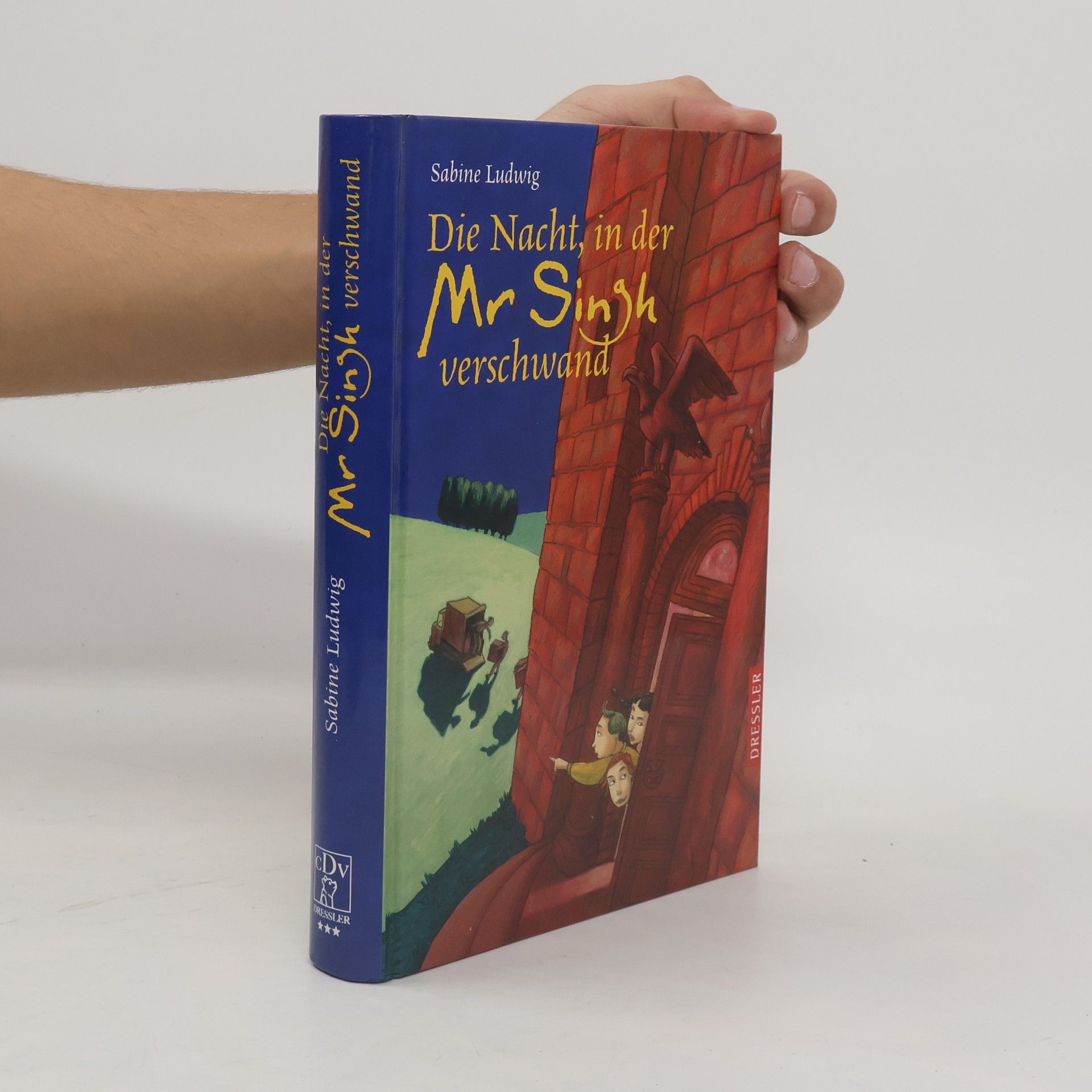 Sabine Ludwig-Szendi Die Nacht, in der Mr. Singh verschwand