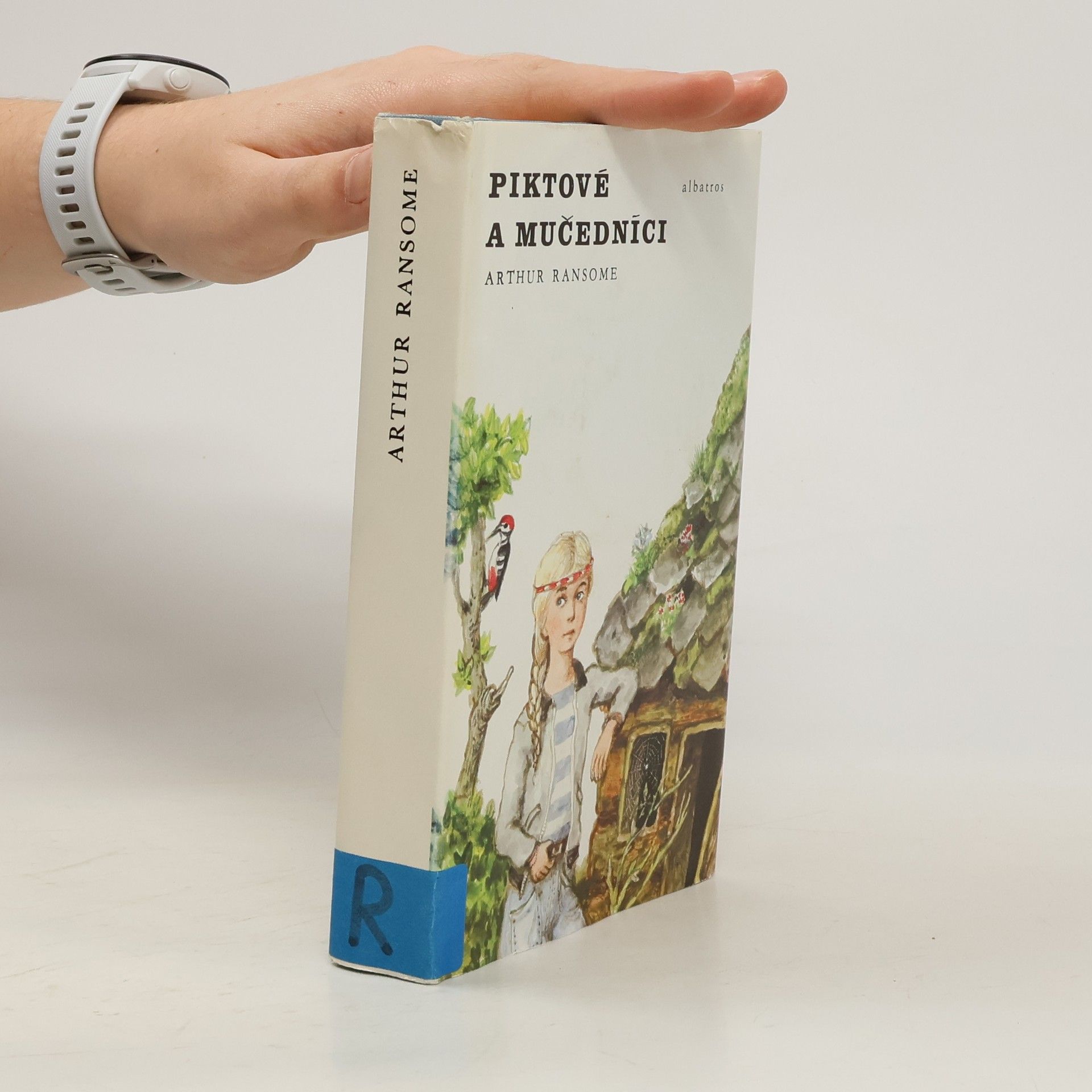 Piktové a mučedníci aneb Naprosto nevítaná návštěva