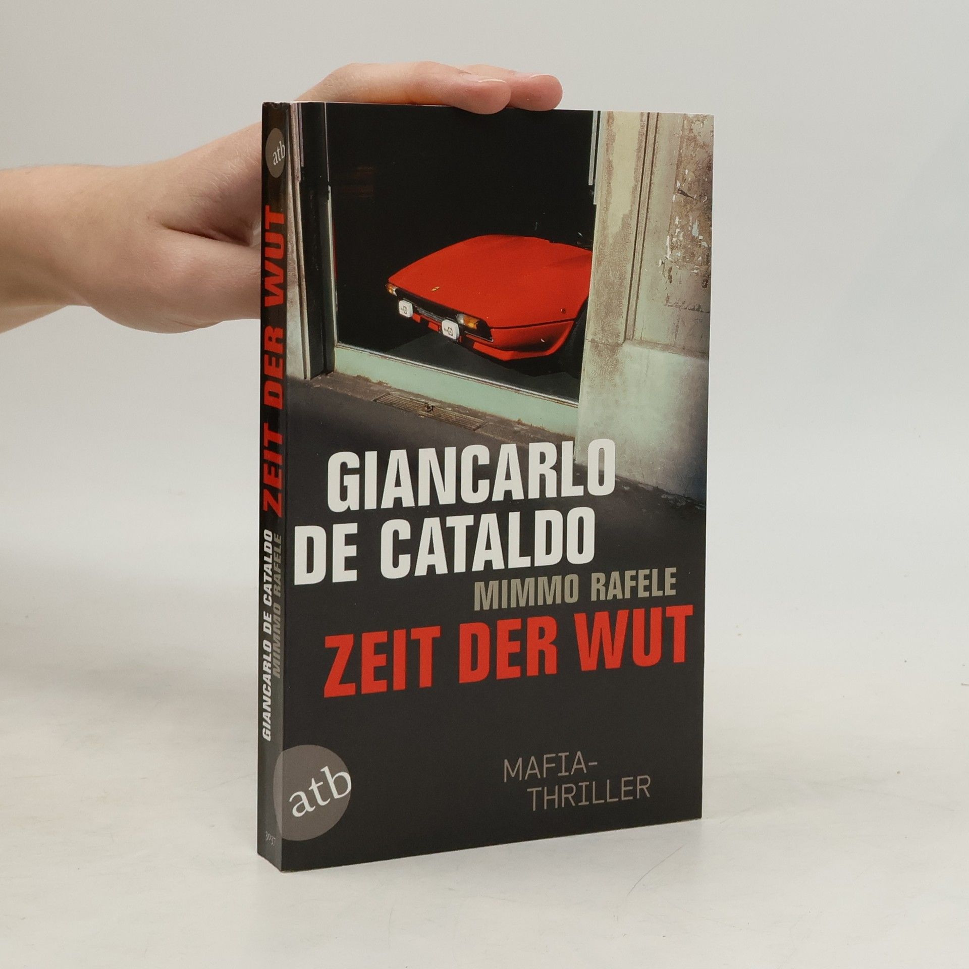 Giancarlo De Cataldo Zeit der Wut