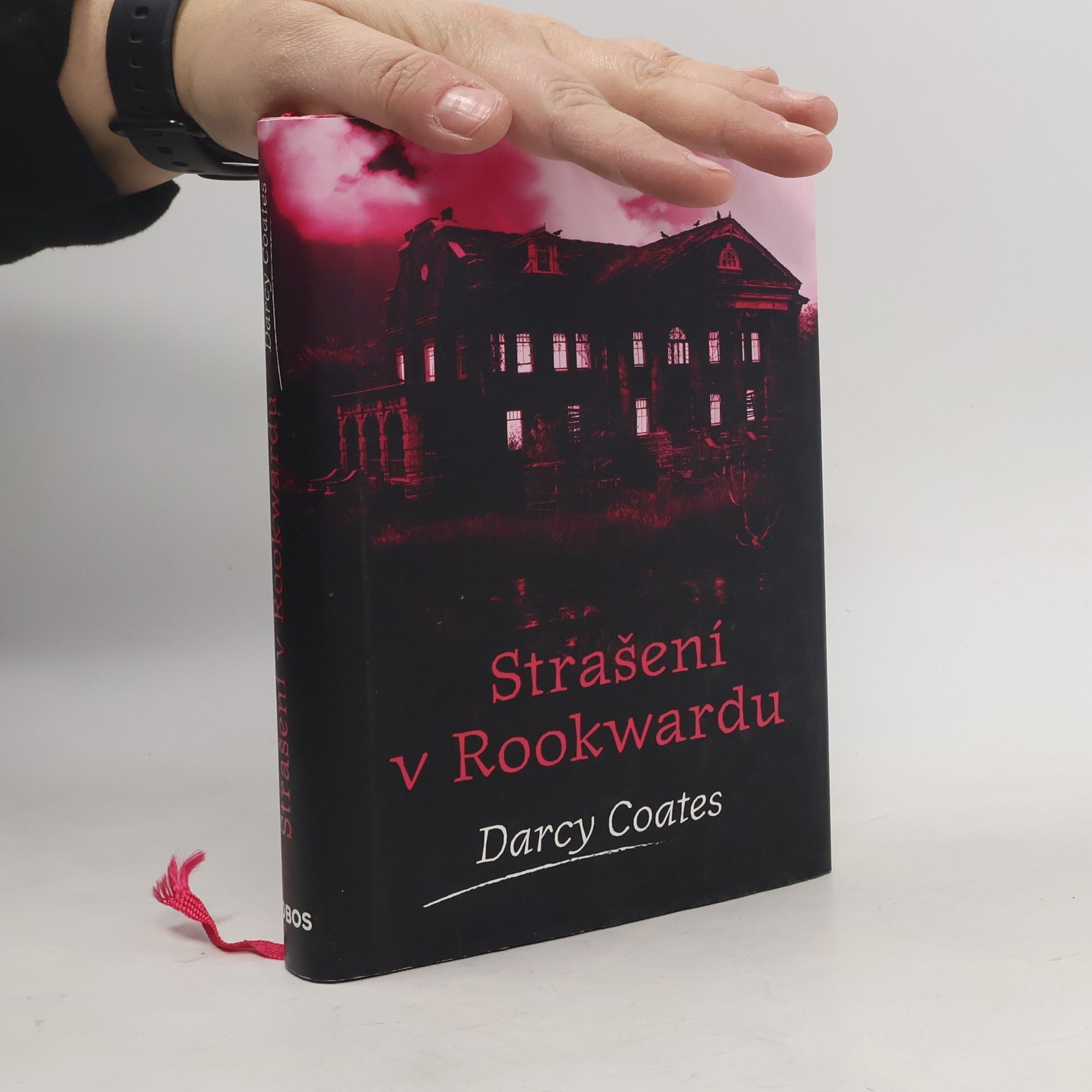 Darcy Coates Strašení v Rookwardu