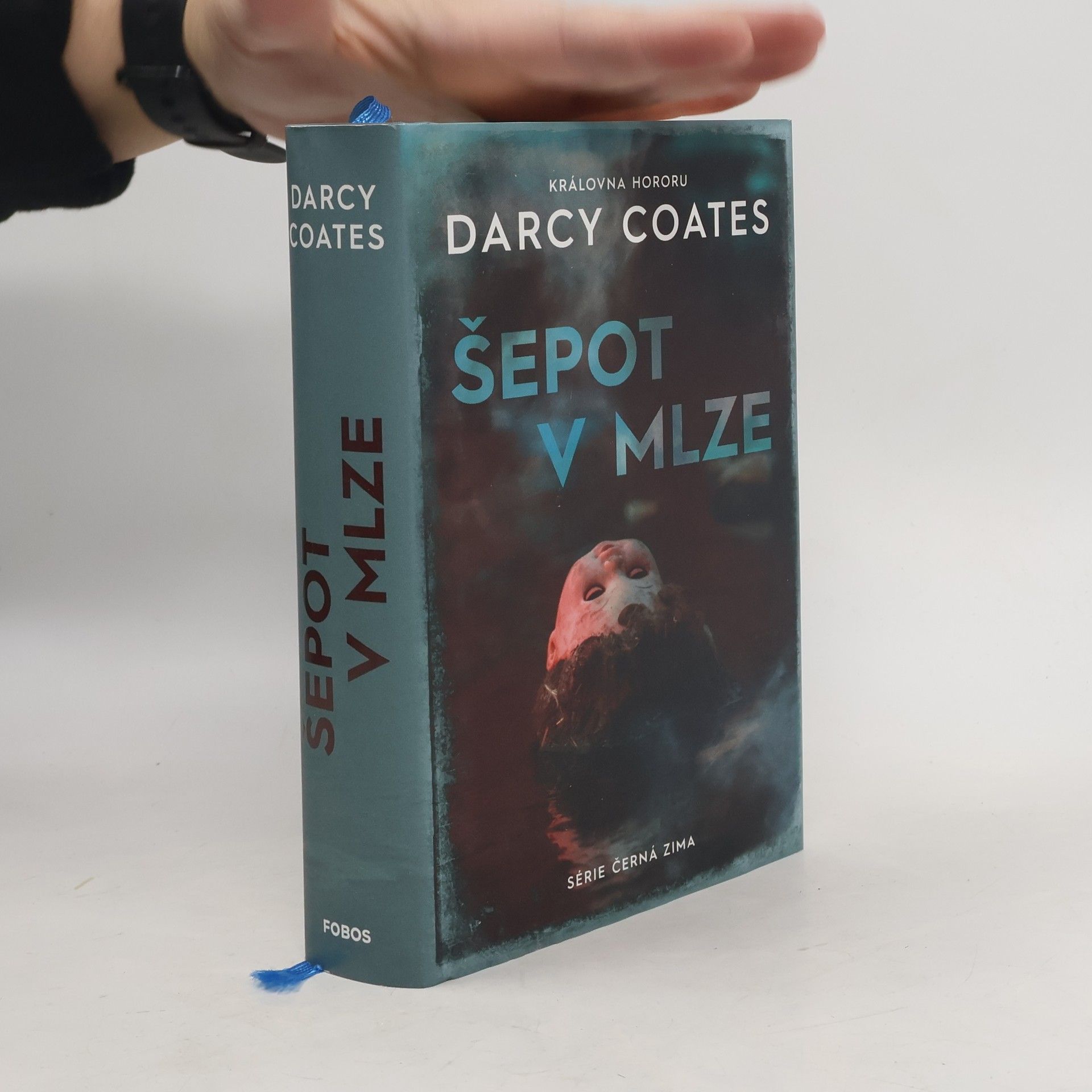 Darcy Coates Šepot v mlze