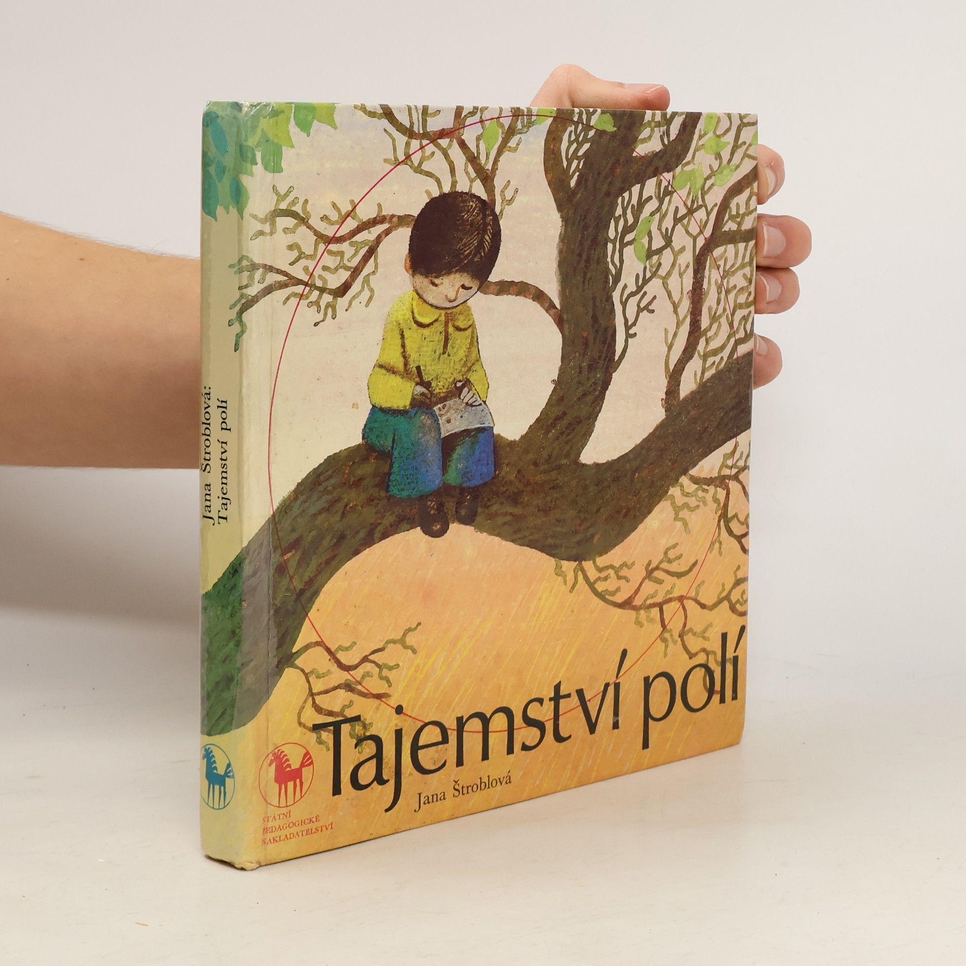 Štroblová Jana Tajemství polí