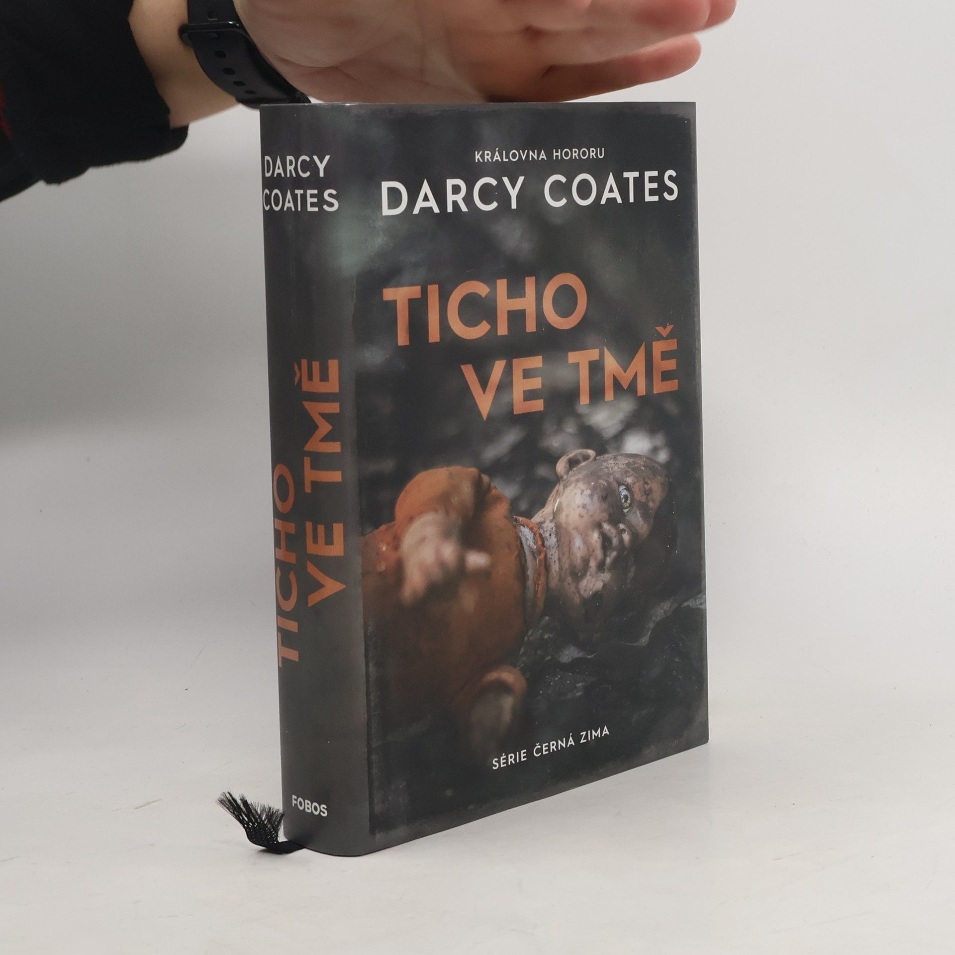 Darcy Coates Ticho ve tmě