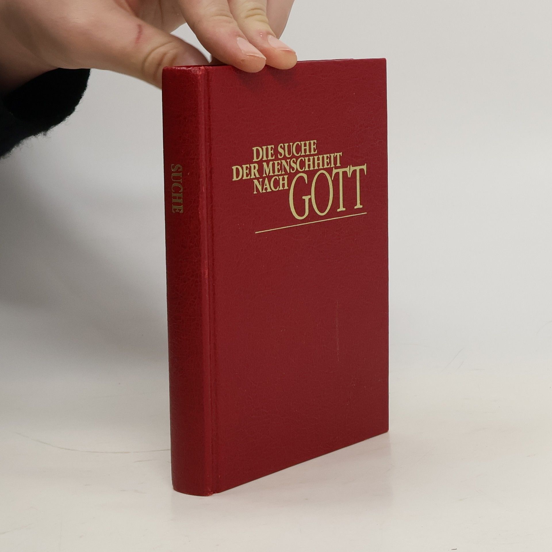 Autorenkollektiv Die Suche der Menschheit nach Gott