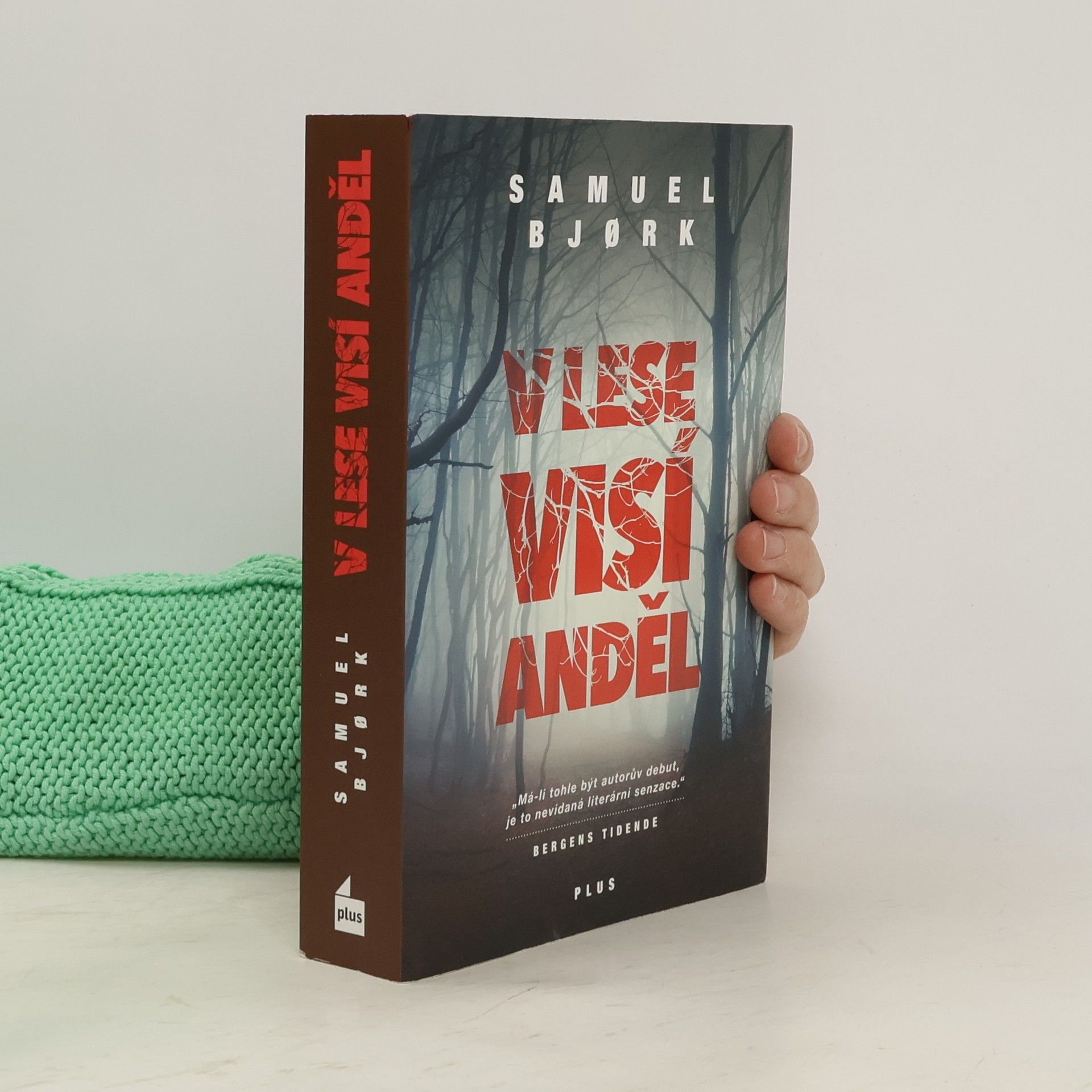 Samuel Bjork V lese visí anděl