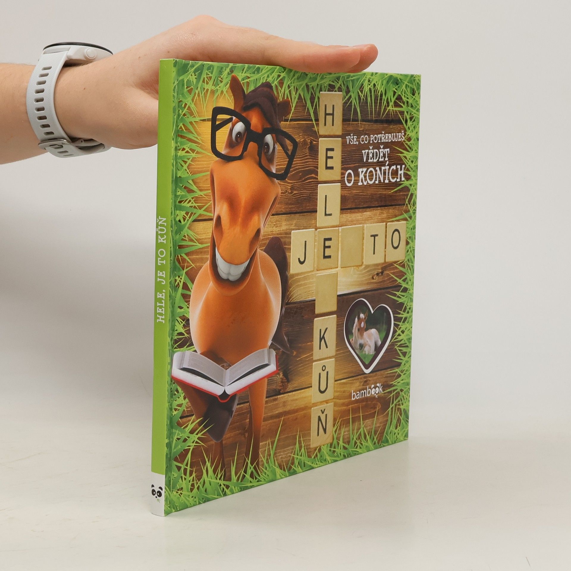 Antonín Jiří Hluštík Hele, je to kůň