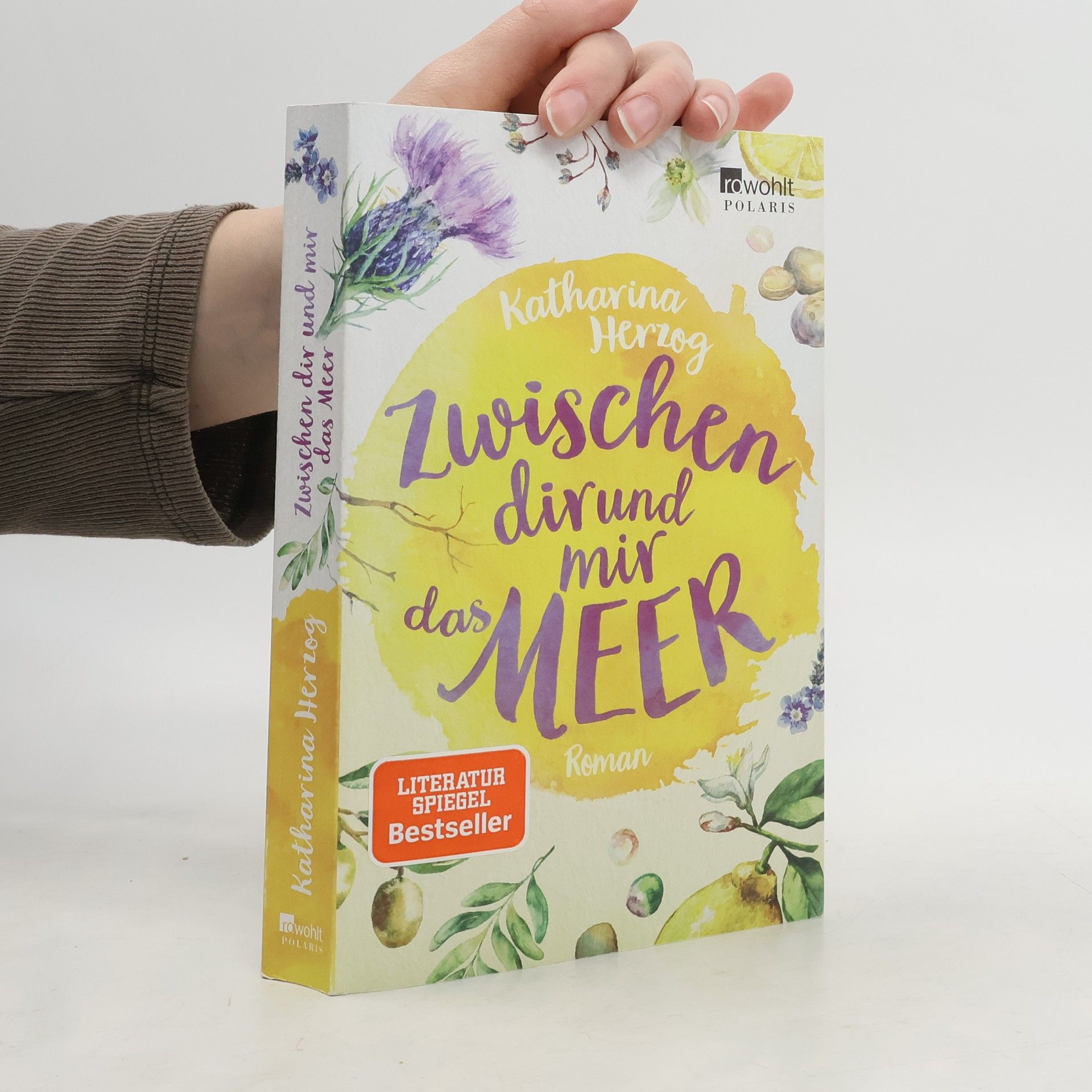 Katharina Herzog Zwischen dir und mir das Meer