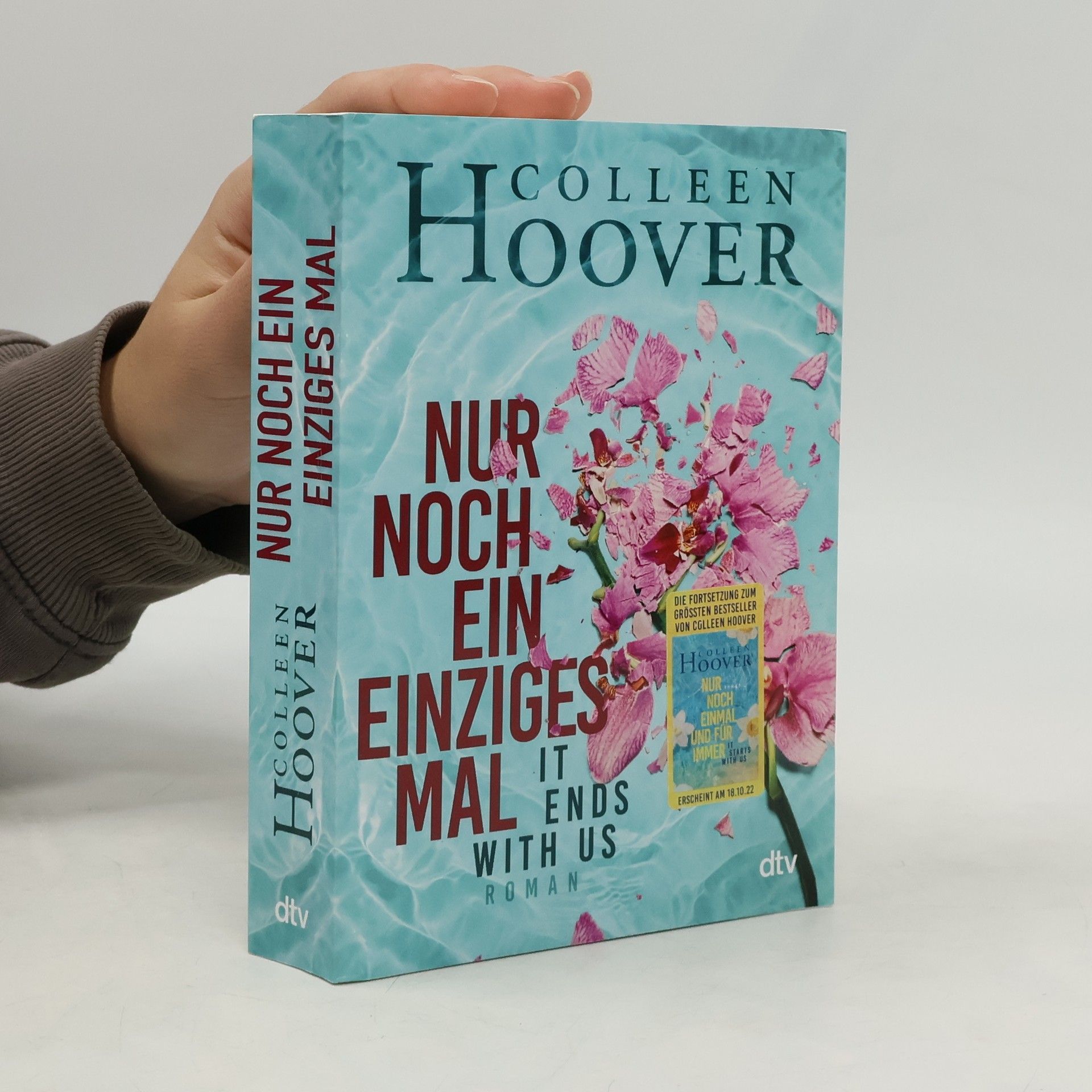 Colleen Hoover Nur noch ein einziges Mal