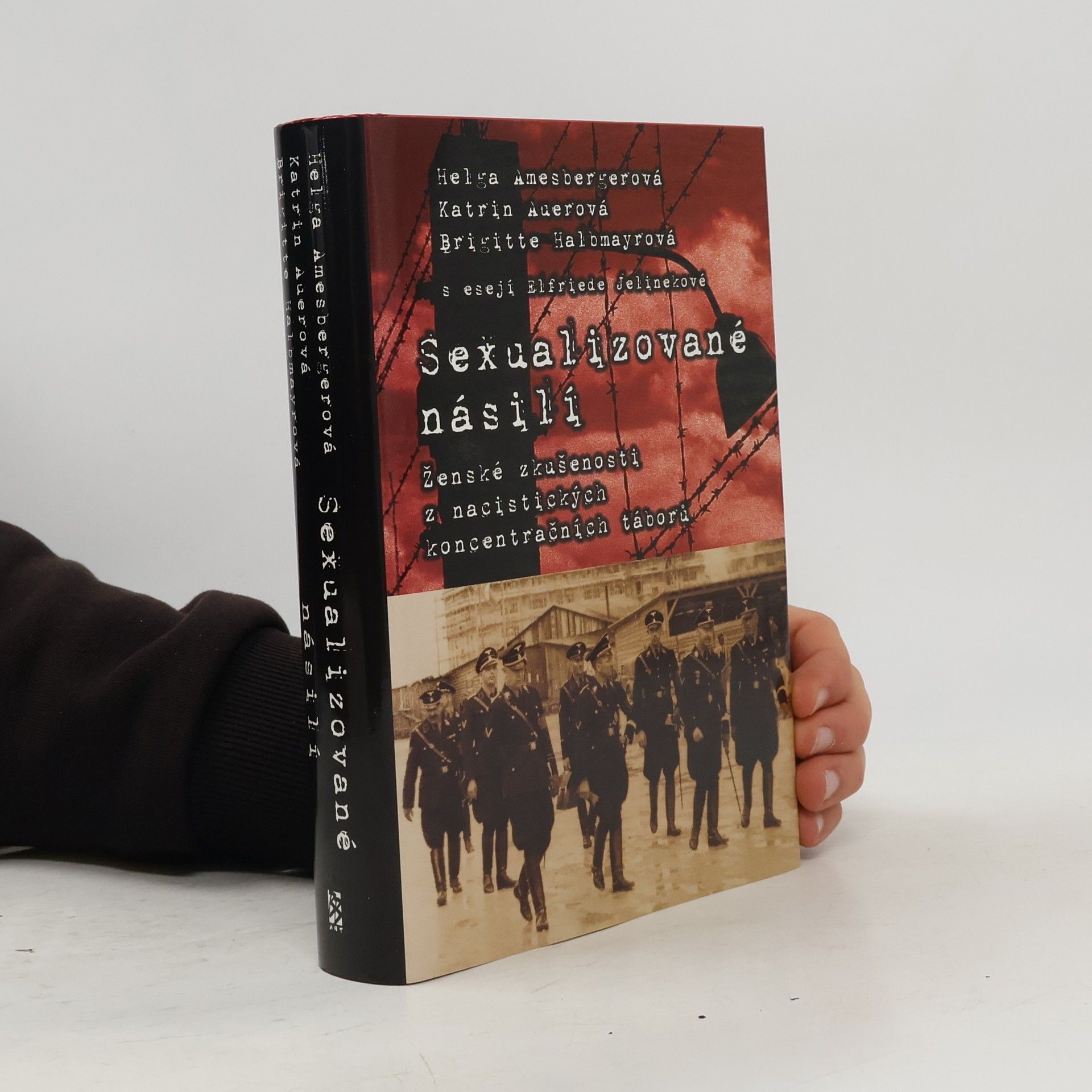 Helga Amesberger Sexualizované násilí