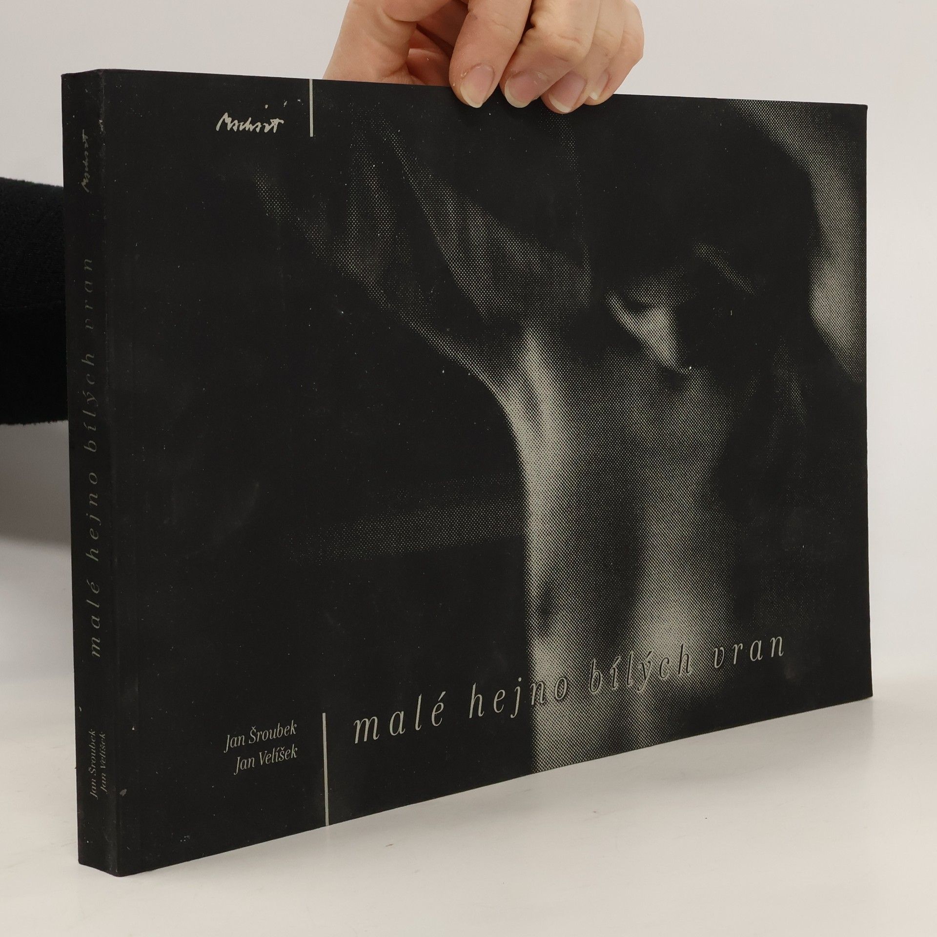 Malé hejno bílých vran