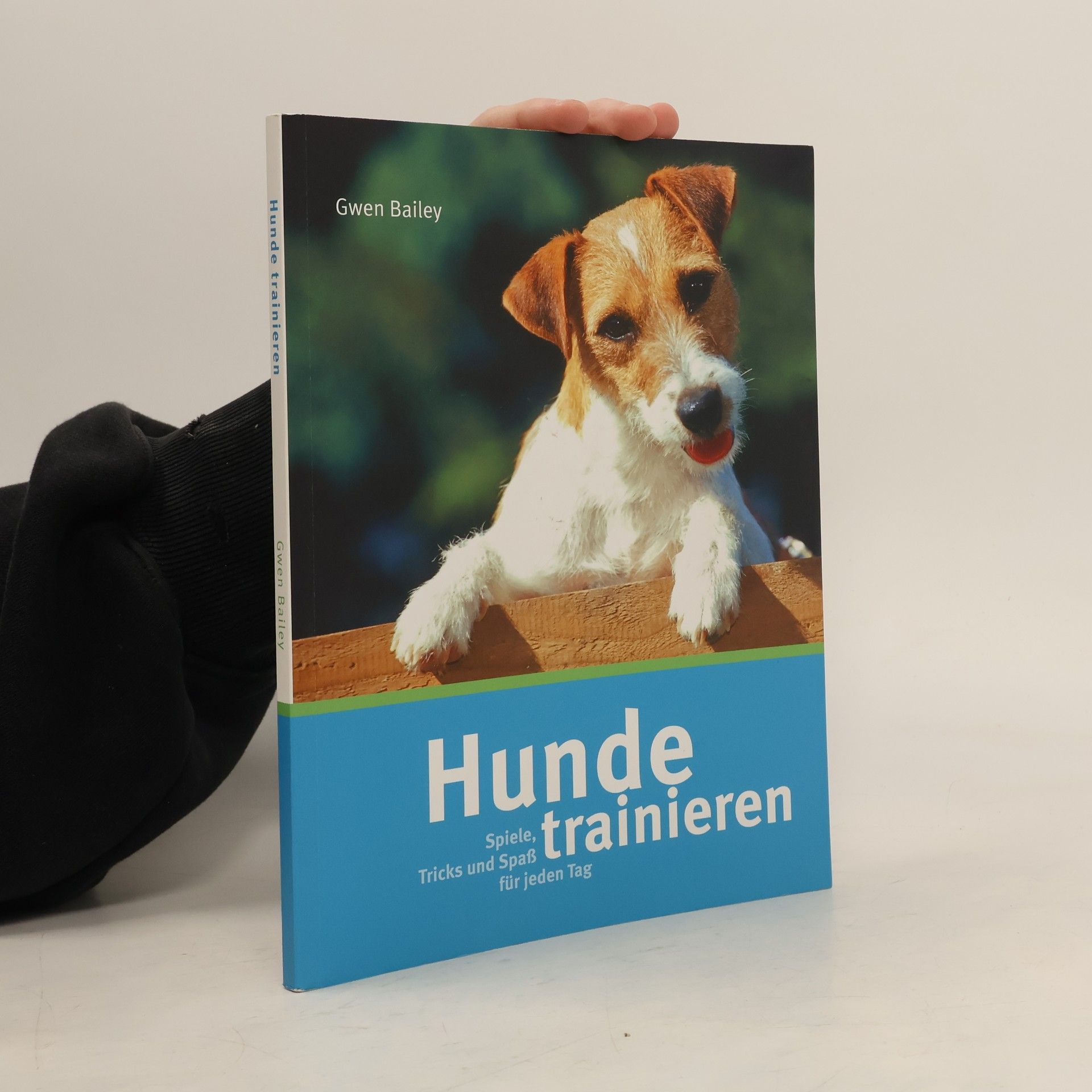 Hunde Trainieren: Spiele, Tricks und Spass für jeden Tag
