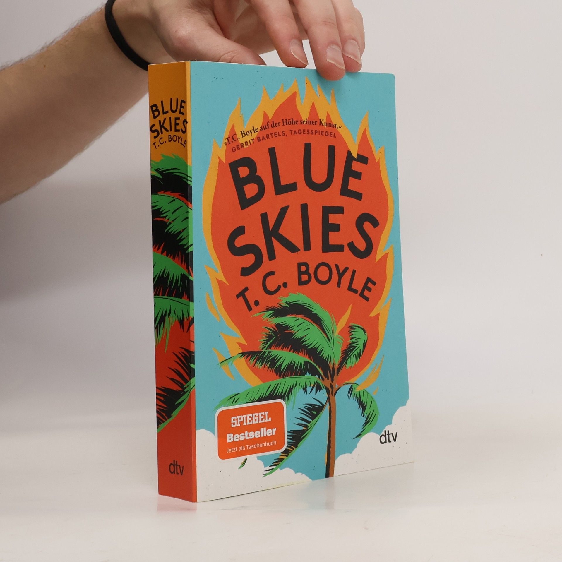 T. Coraghessan Boyle Blue Skies