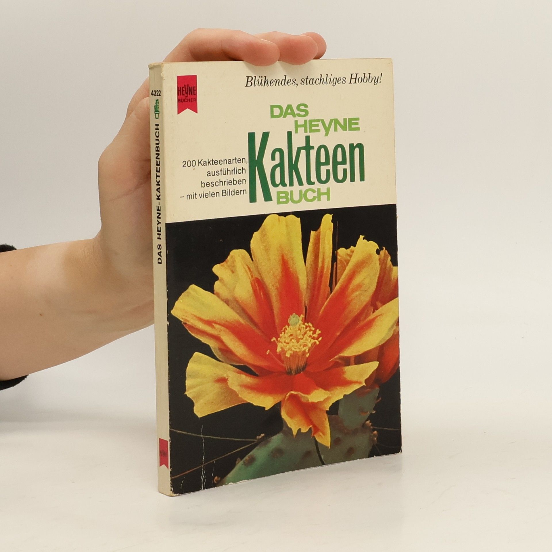 Das Heyne-Kakteenbuch
