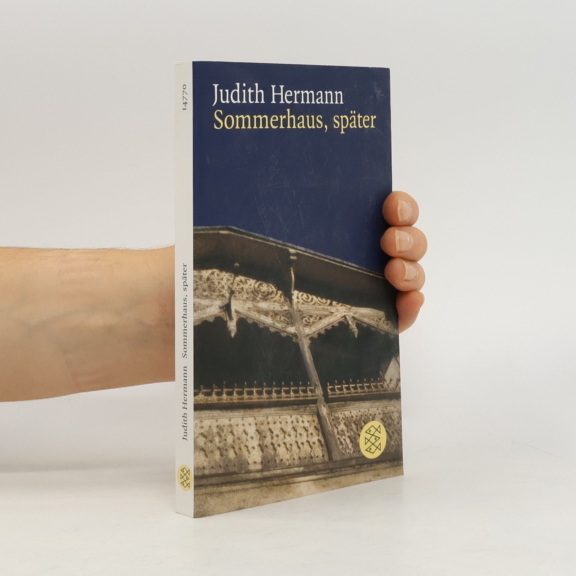 Judith Hermann Sommerhaus, später : Erzählungen