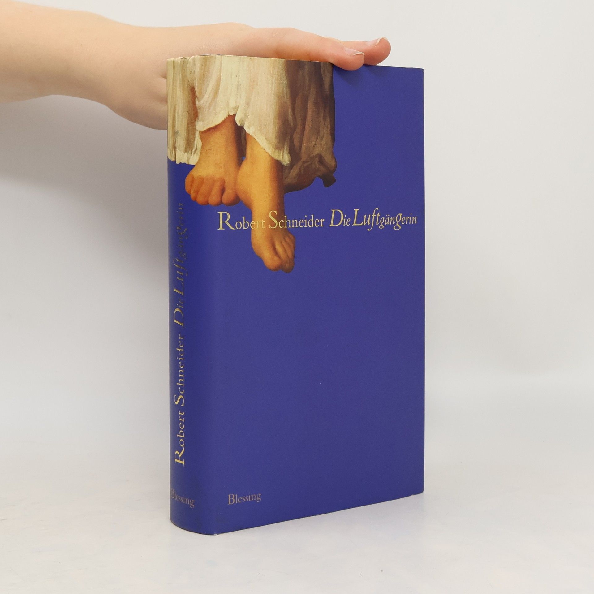 Robert Schneider Die Luftgängerin
