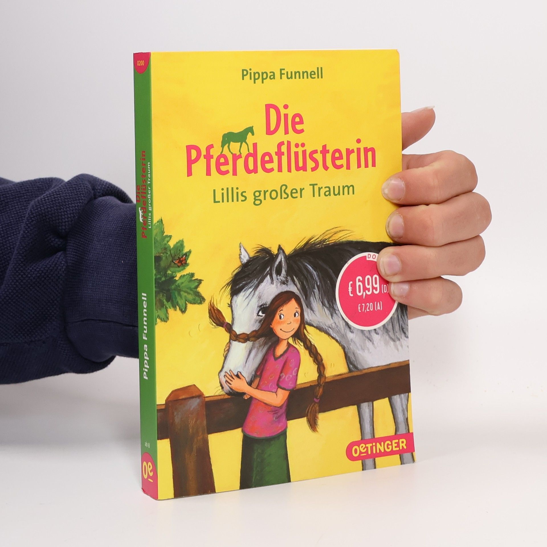 Die Pferdeflüsterin - Lillis großer Traum