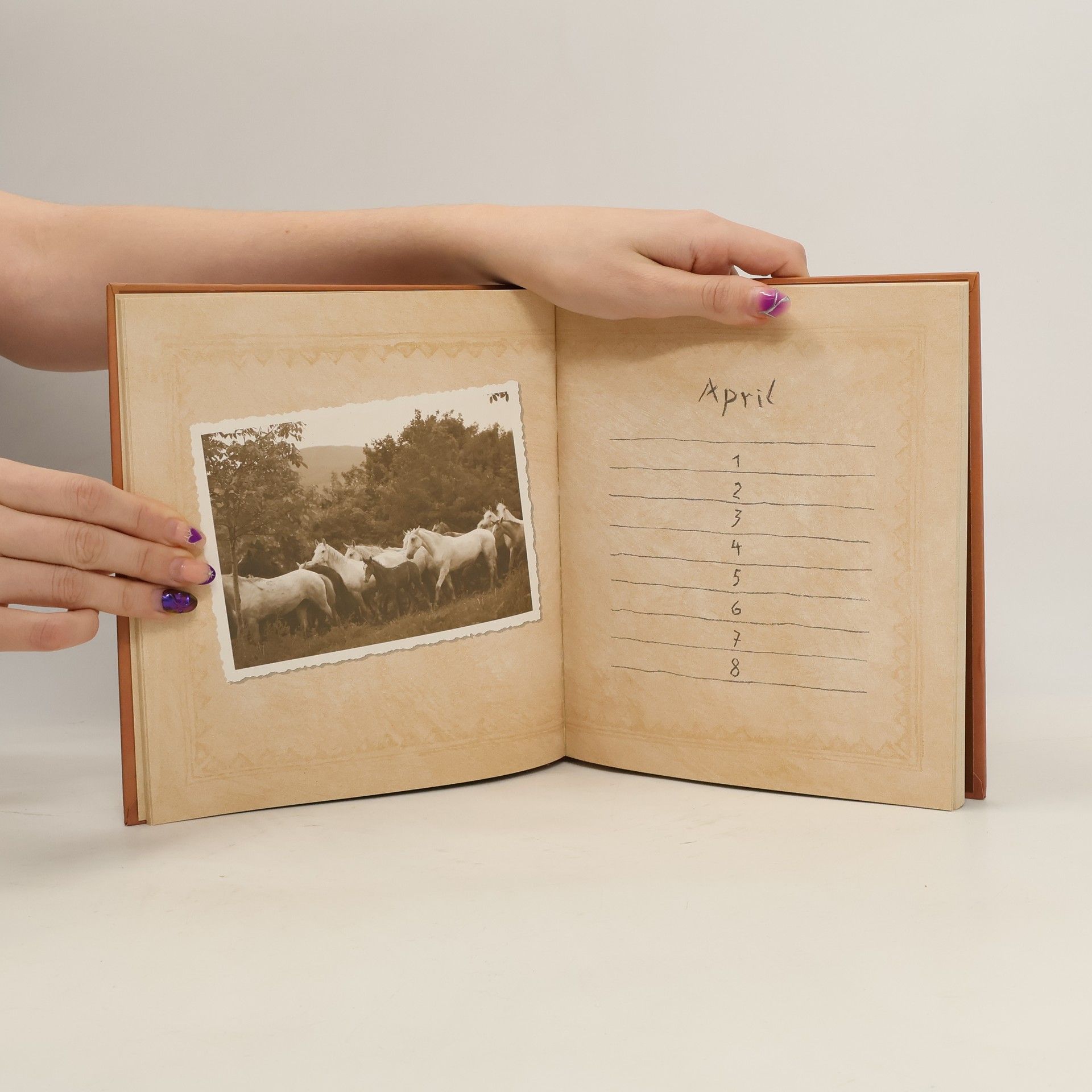 Calendarium F. Pferdefreunde