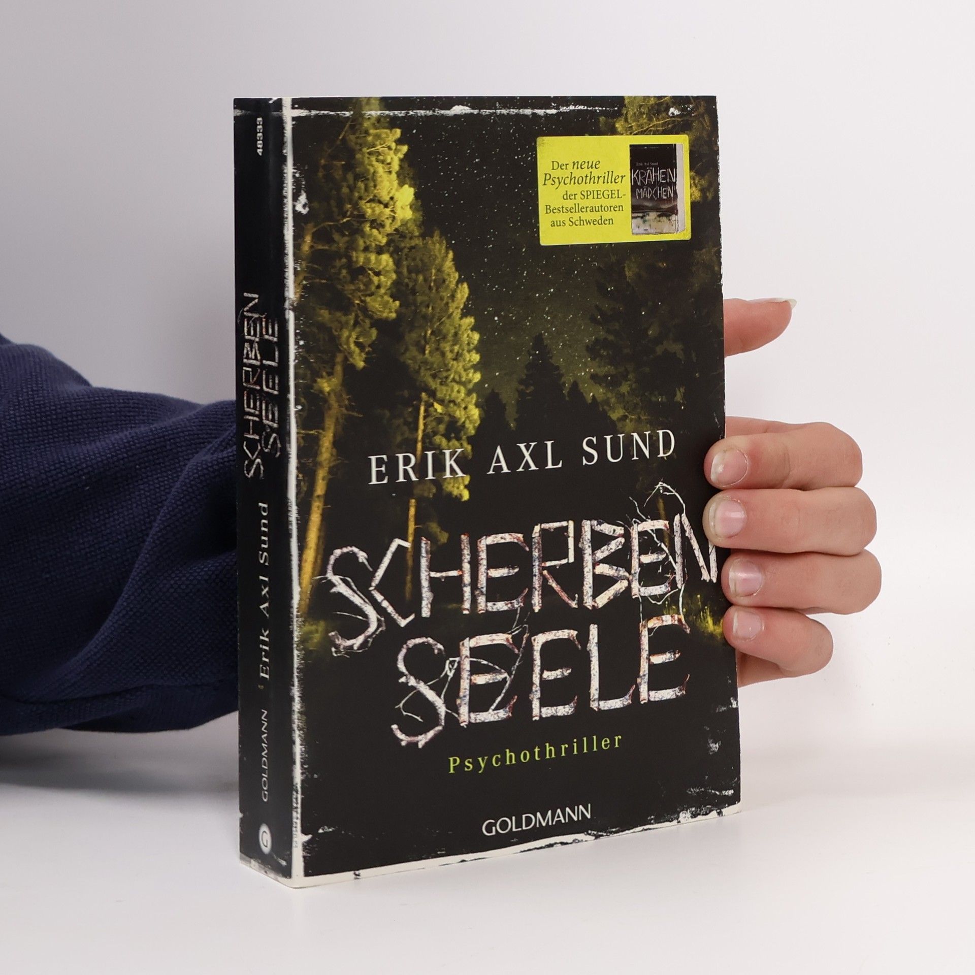 Erik Axl Sund Scherbenseele