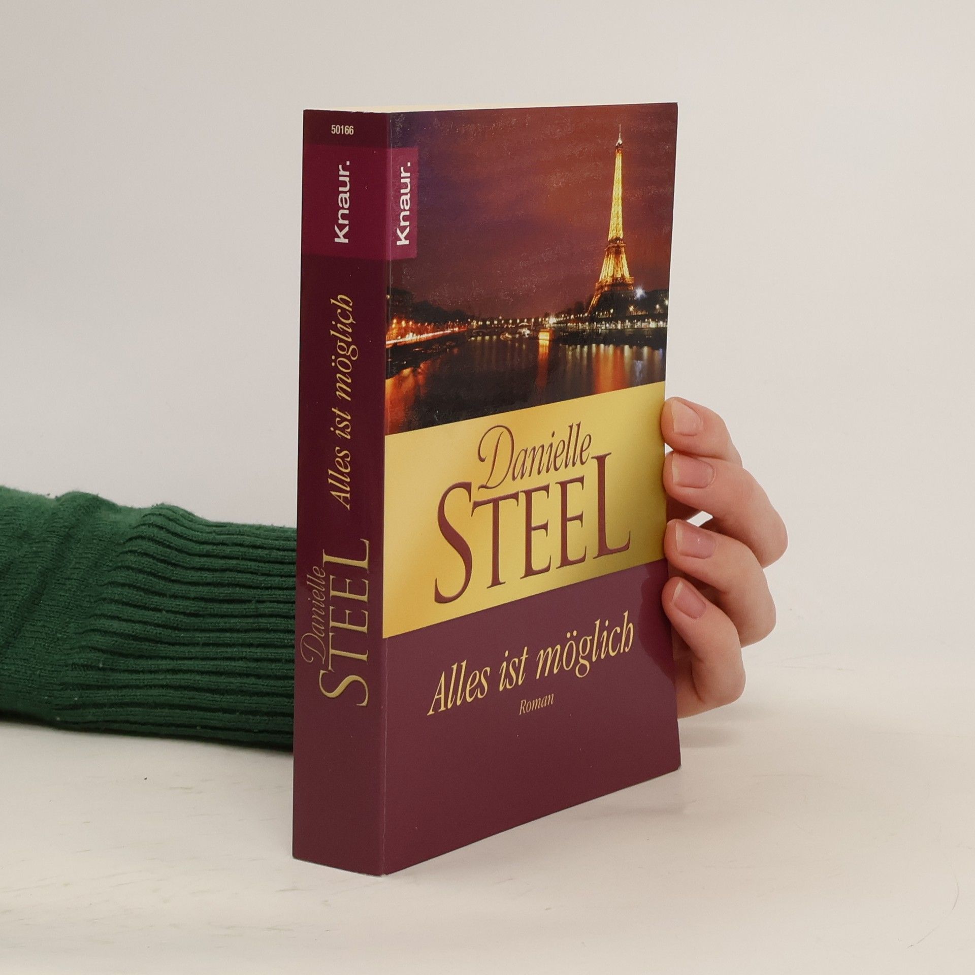 Danielle Steel Alles ist Möglich