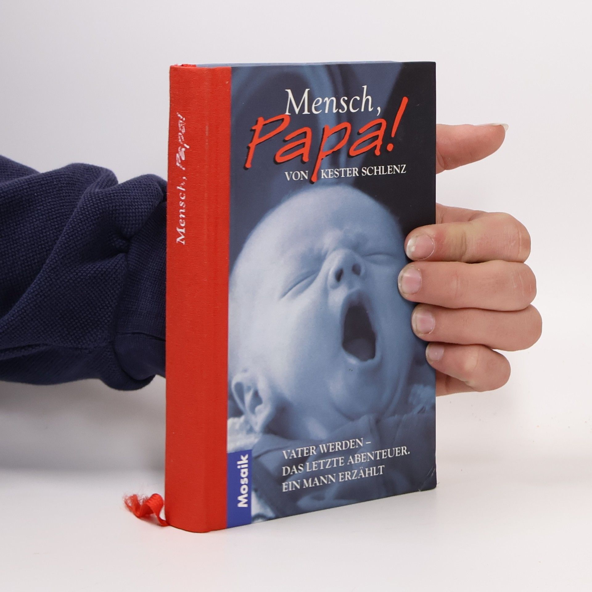 Kester Schlenz Mensch, Papa!